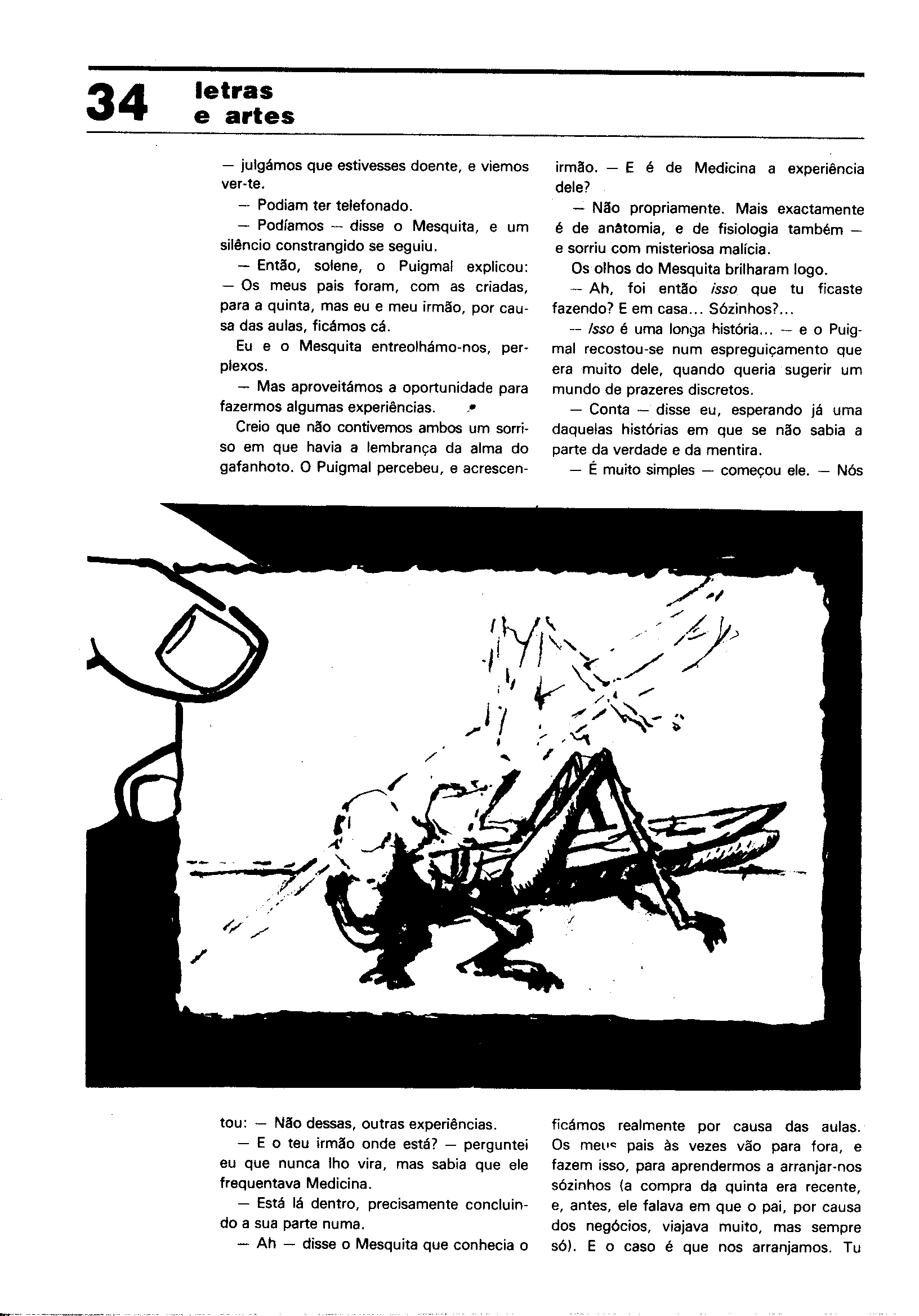 04421.012- pag.38