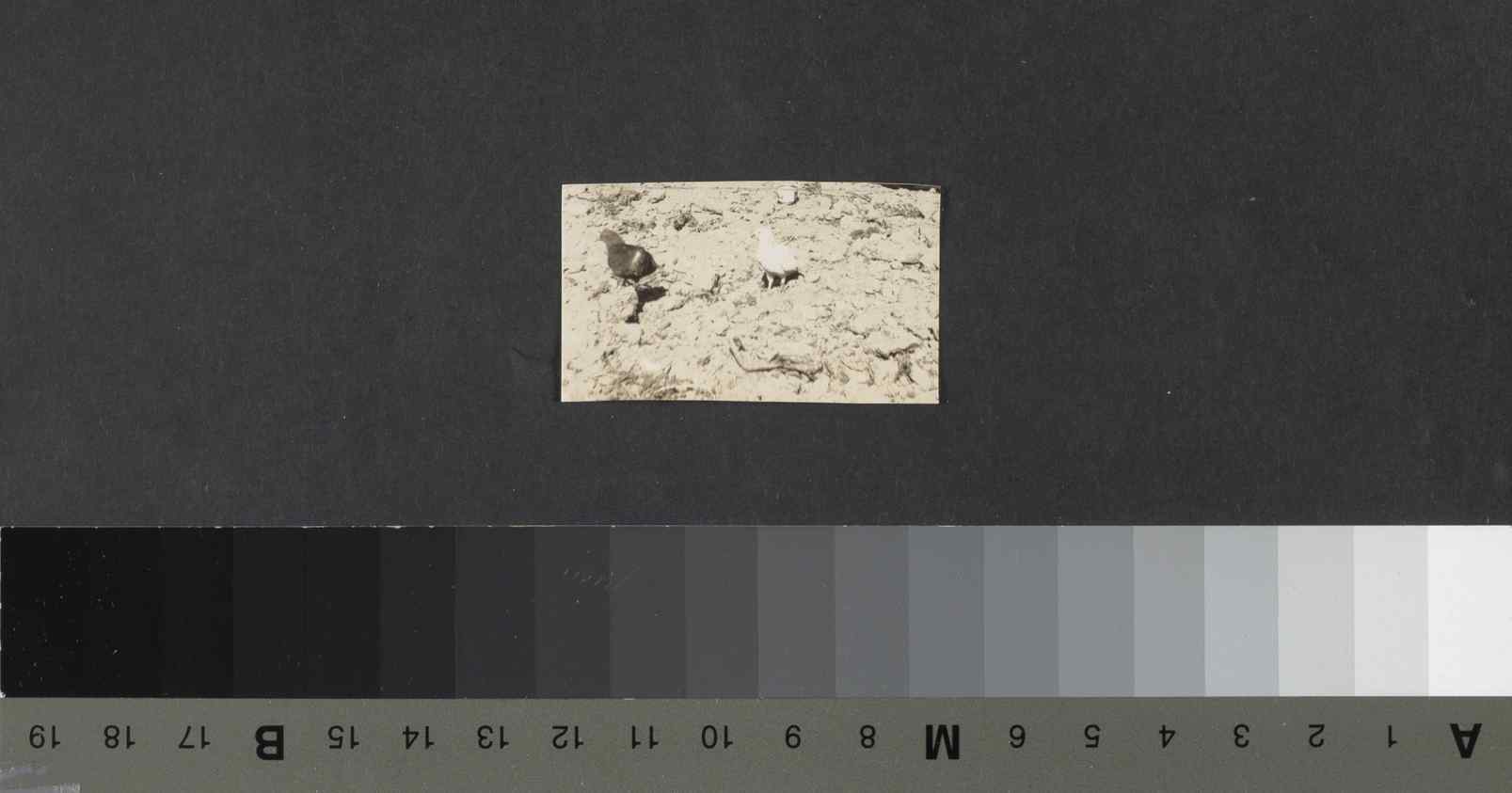 04422.008- pag.37