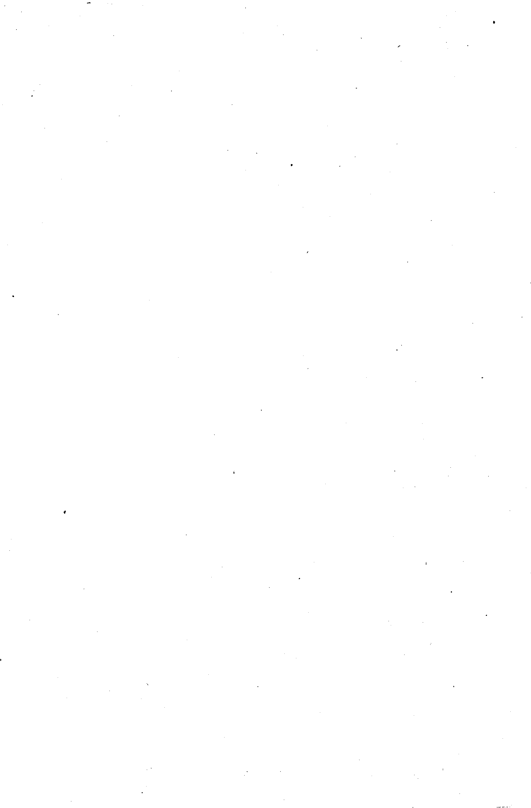 04428.016- pag.20