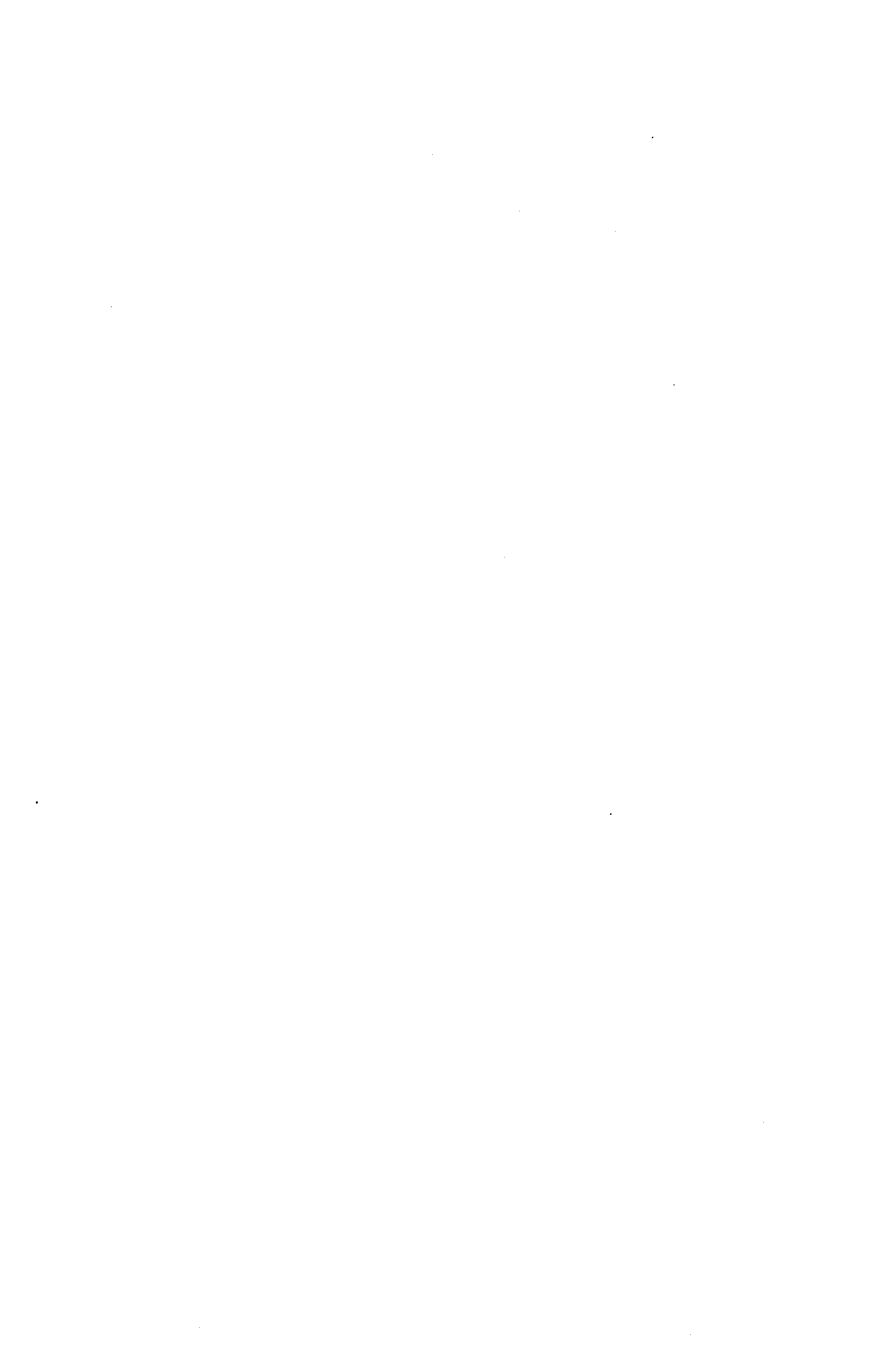 04428.017- pag.27