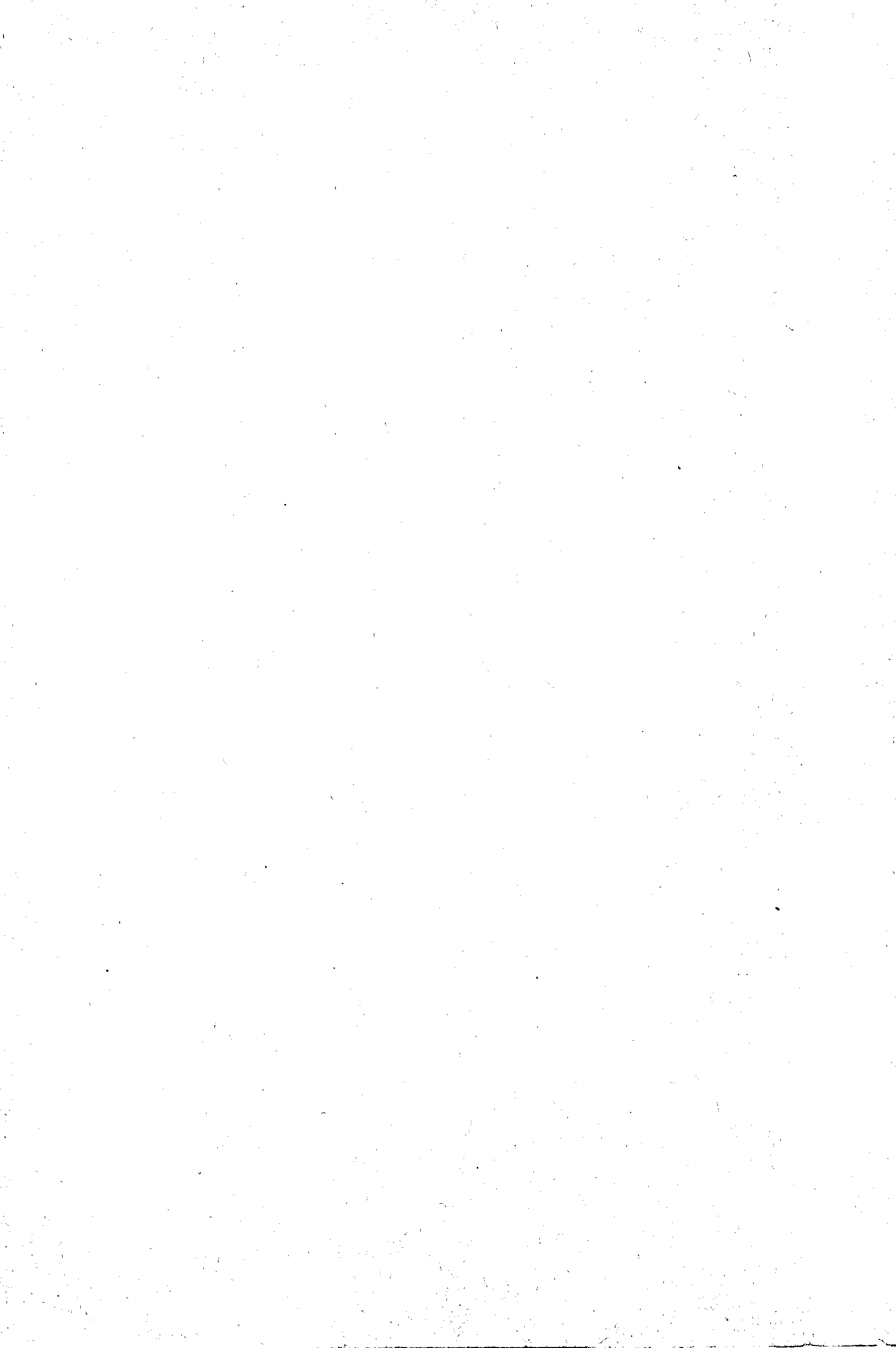 04428.017- pag.28