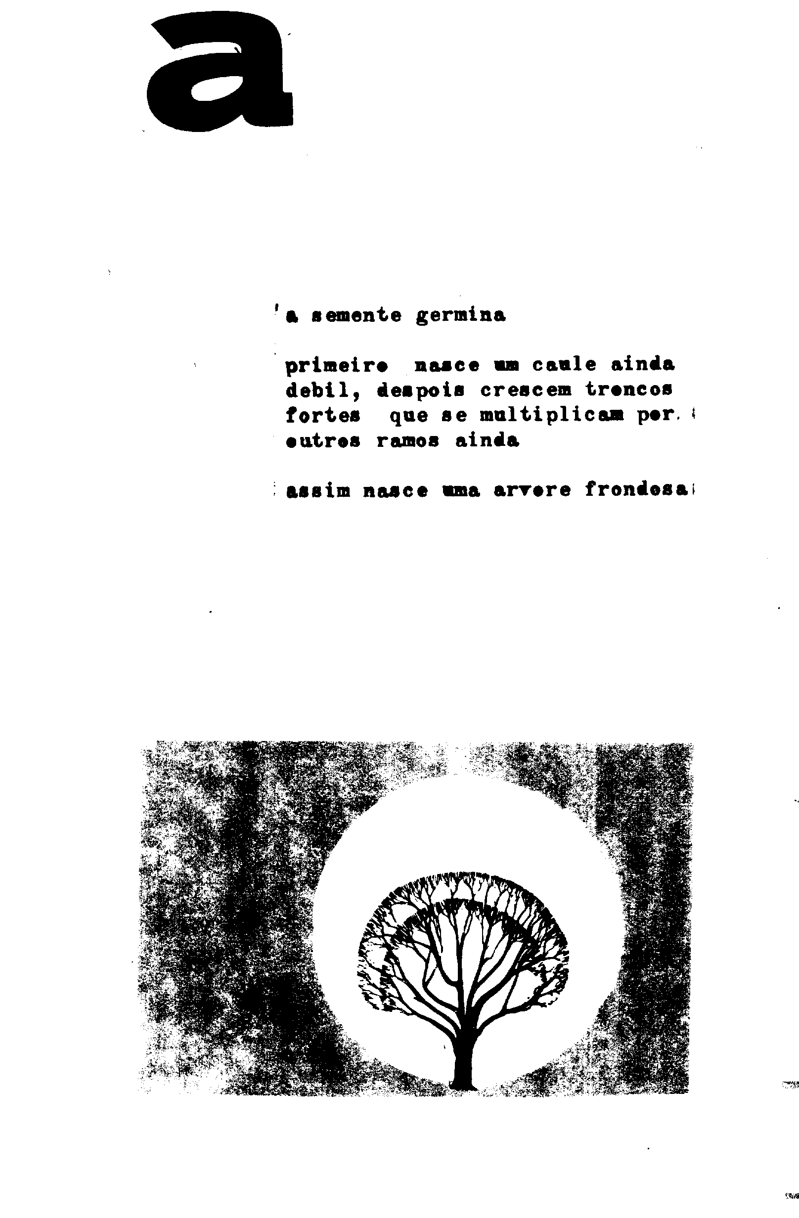 04435.755- pag.25