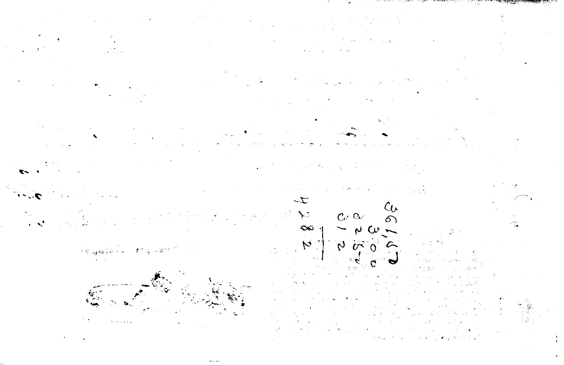 04452.017- pag.51