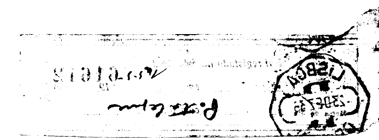 04452.017- pag.82
