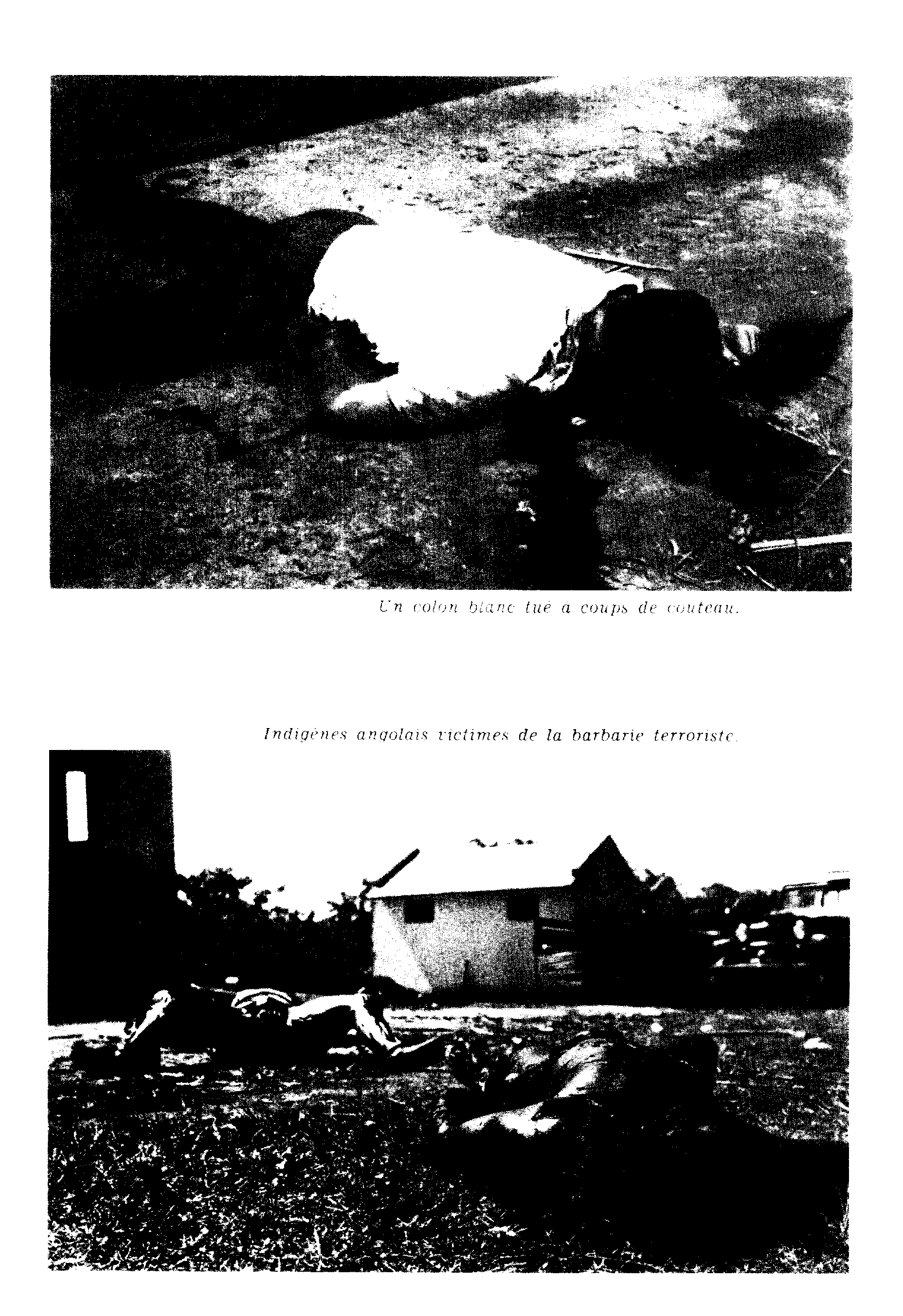 04474.007- pag.12