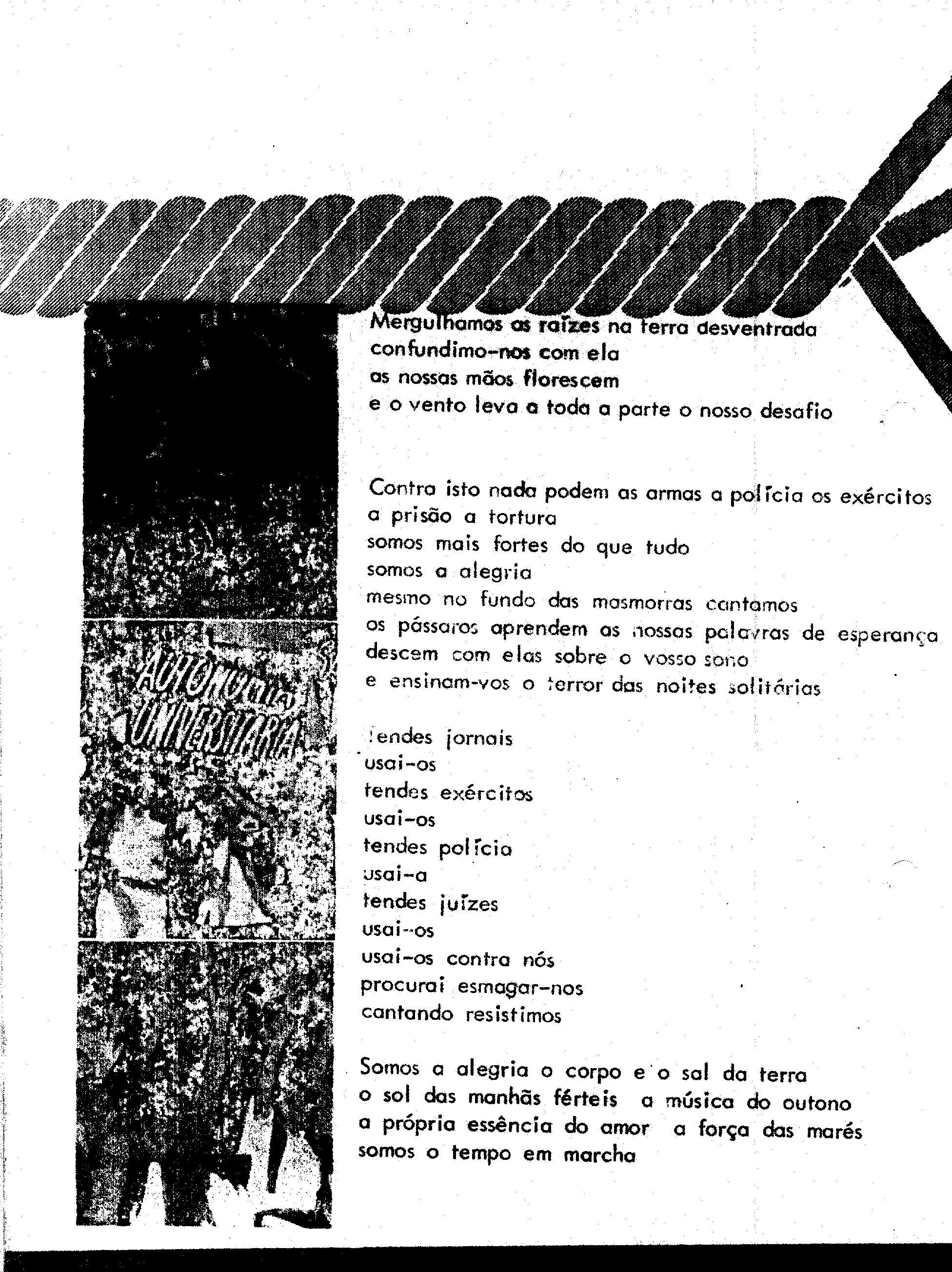 04492.003- pag.13