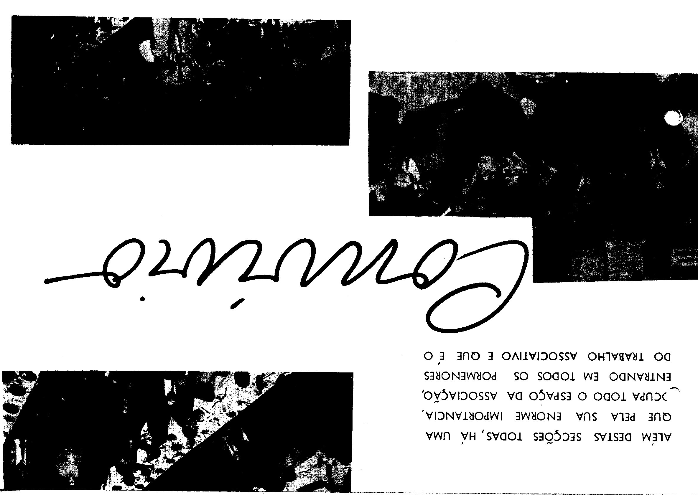 04492.015- pag.17