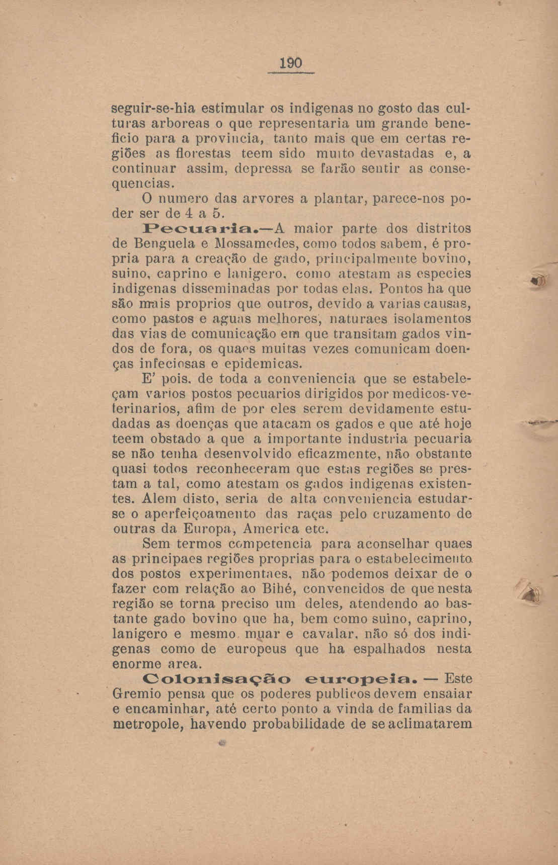 04505.001.017- pag.190