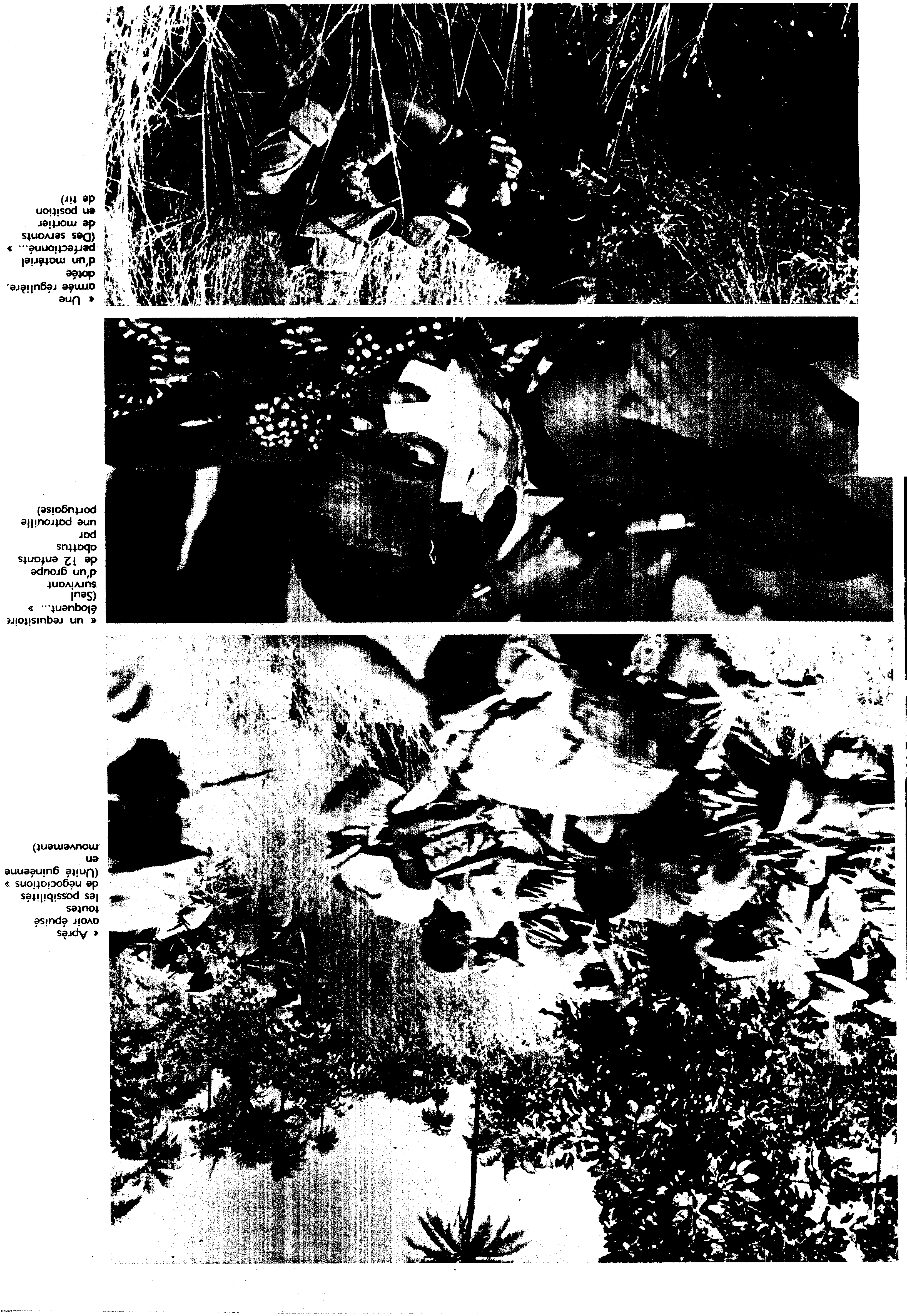 04513.008- pag.37