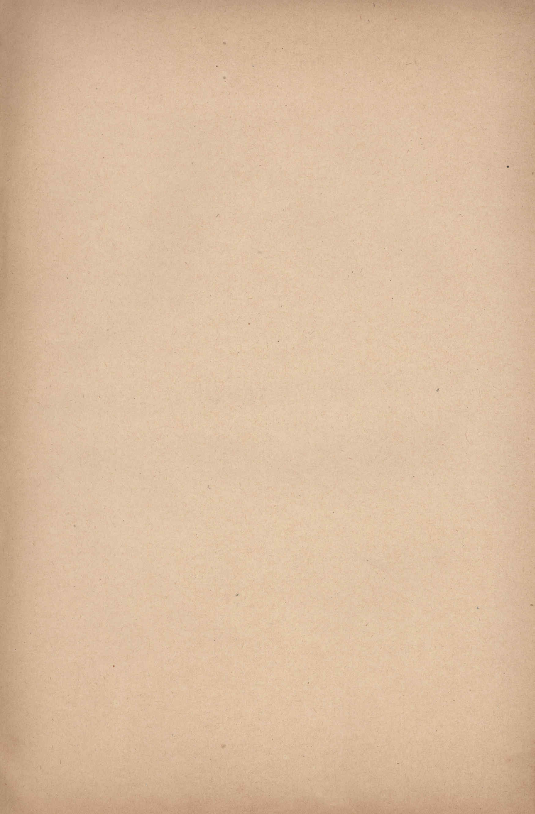 04532.010- pag.13