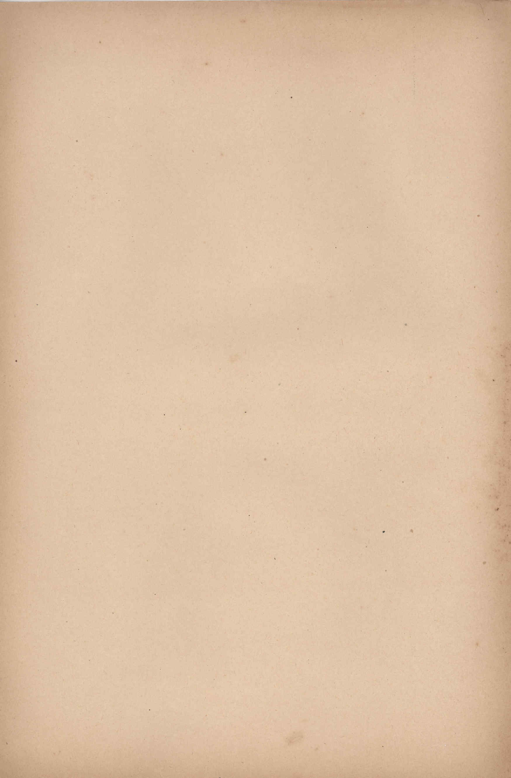04532.020- pag.5