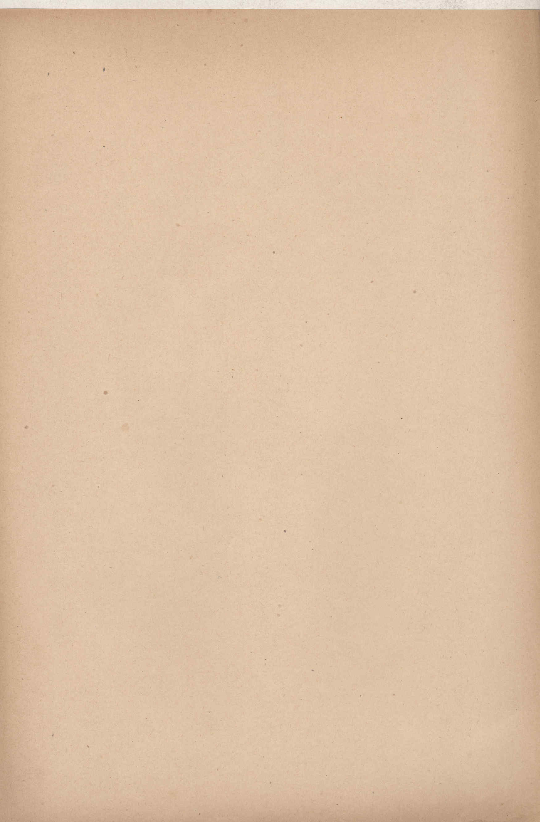 04532.032- pag.7