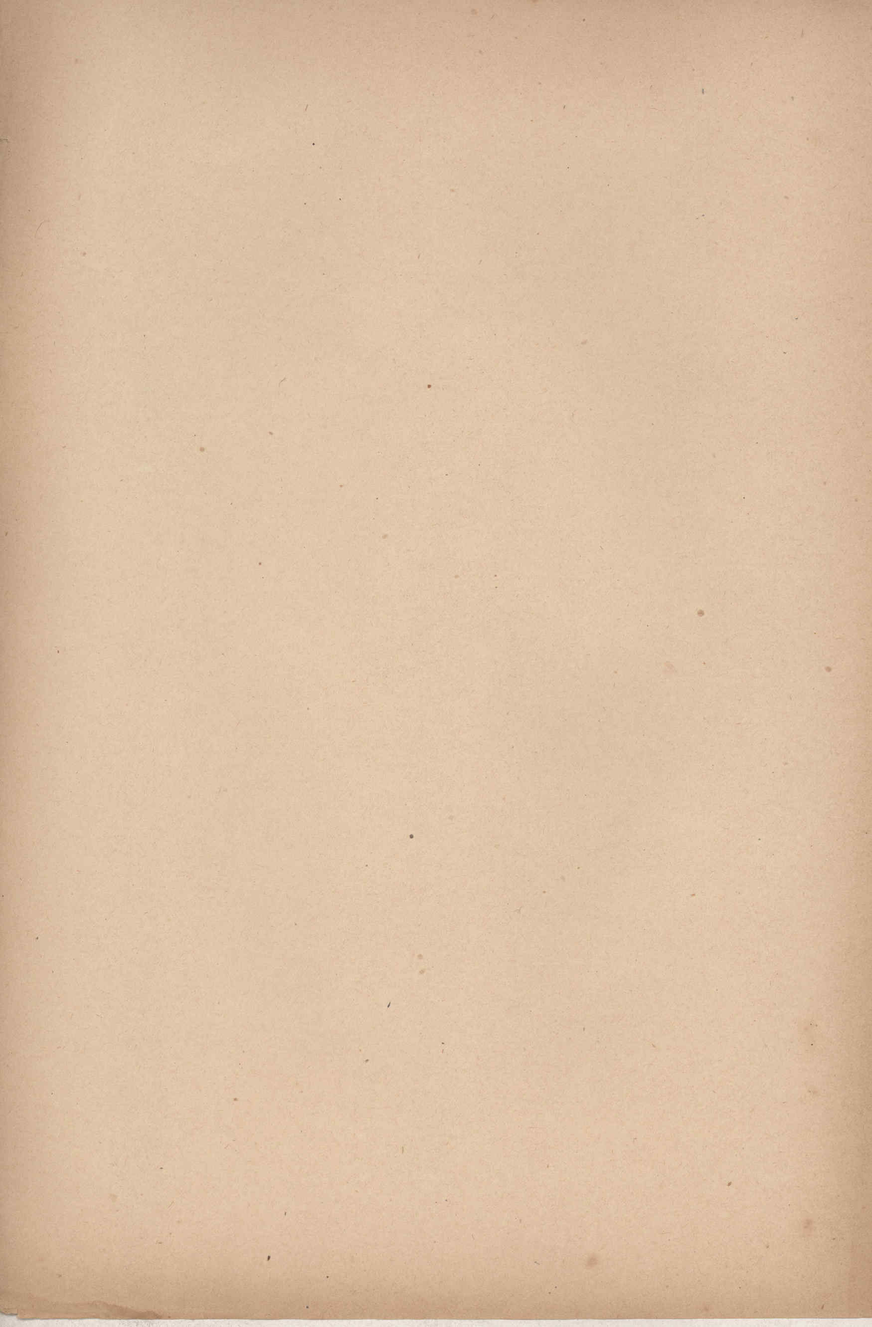 04532.032- pag.8