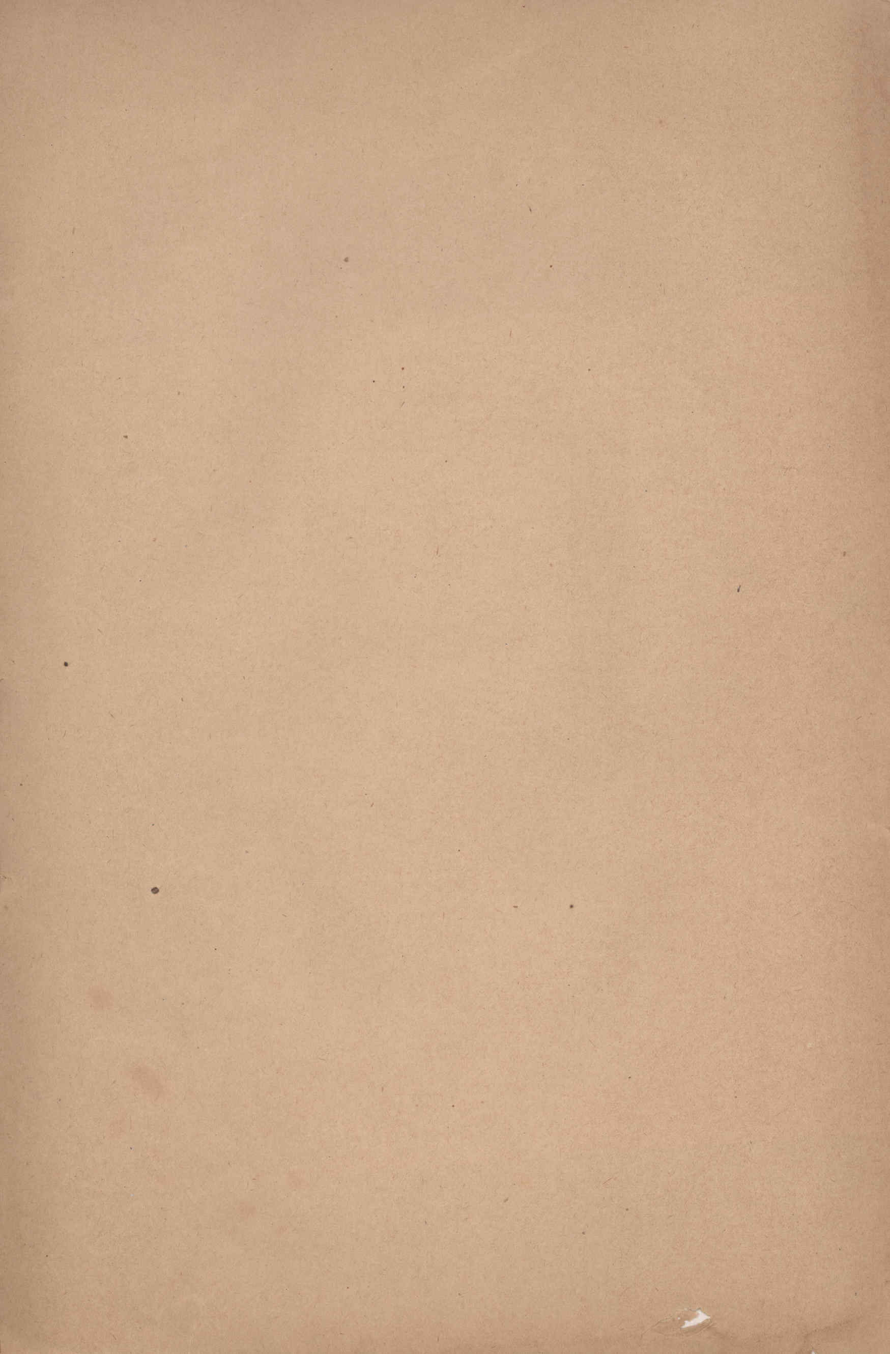 04532.044- pag.10