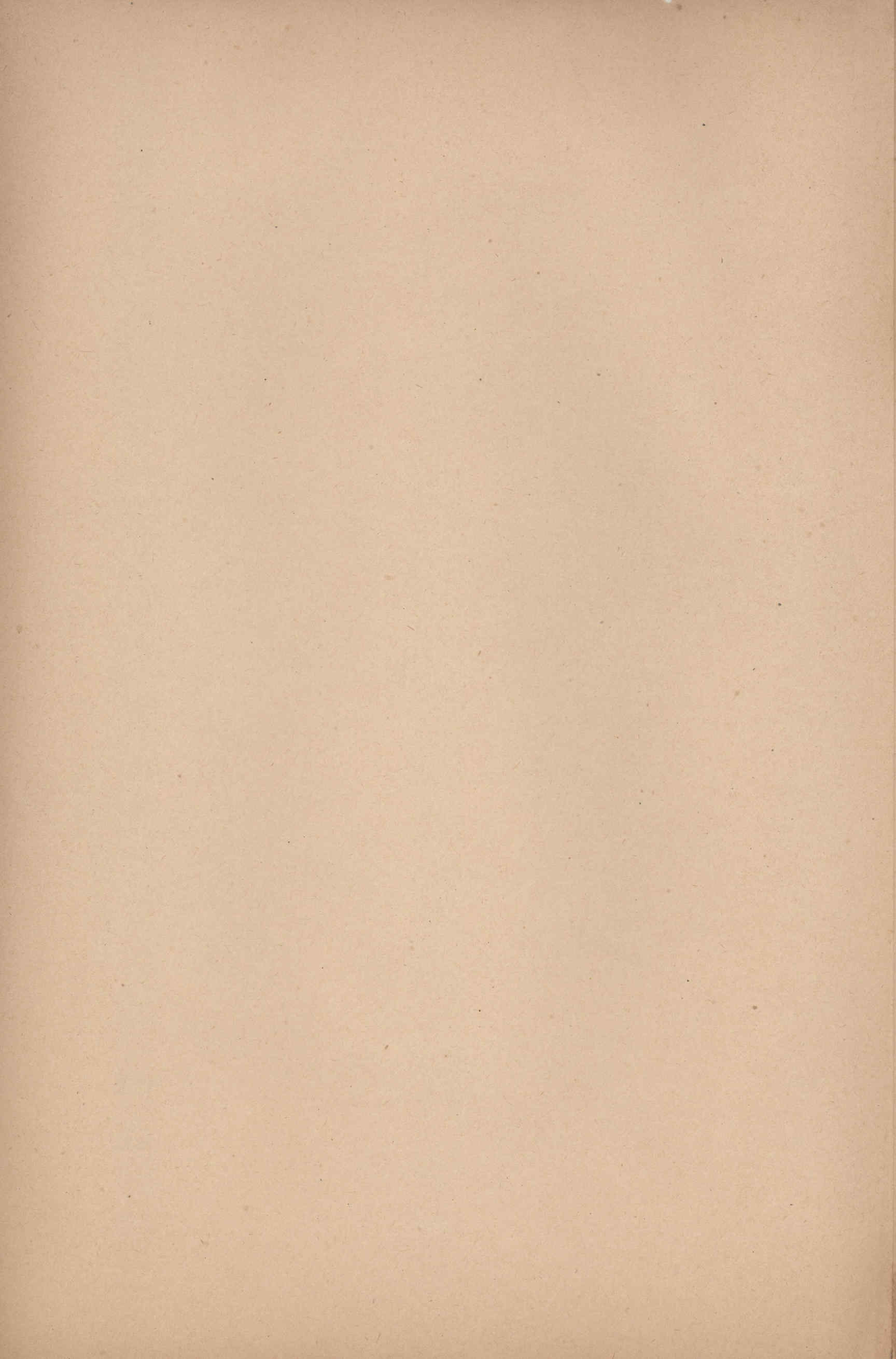 04532.049- pag.6