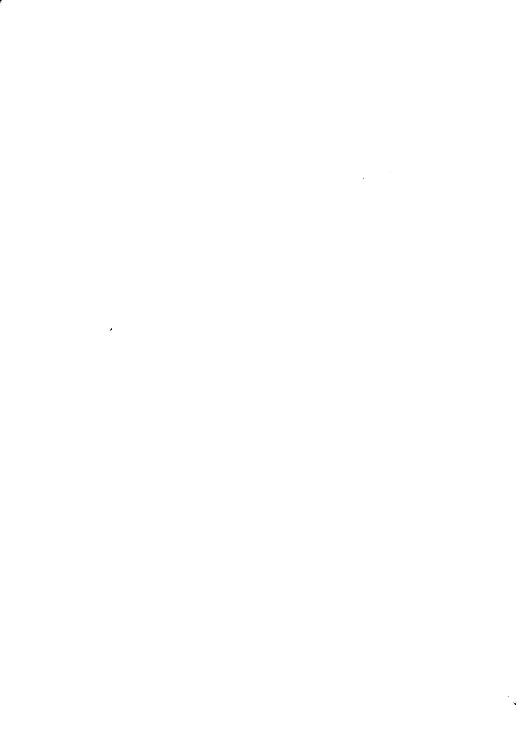 04536.011- pag.33