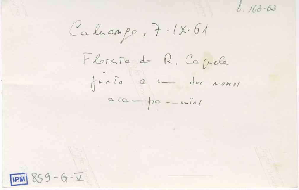 04627.001.054- pag.16