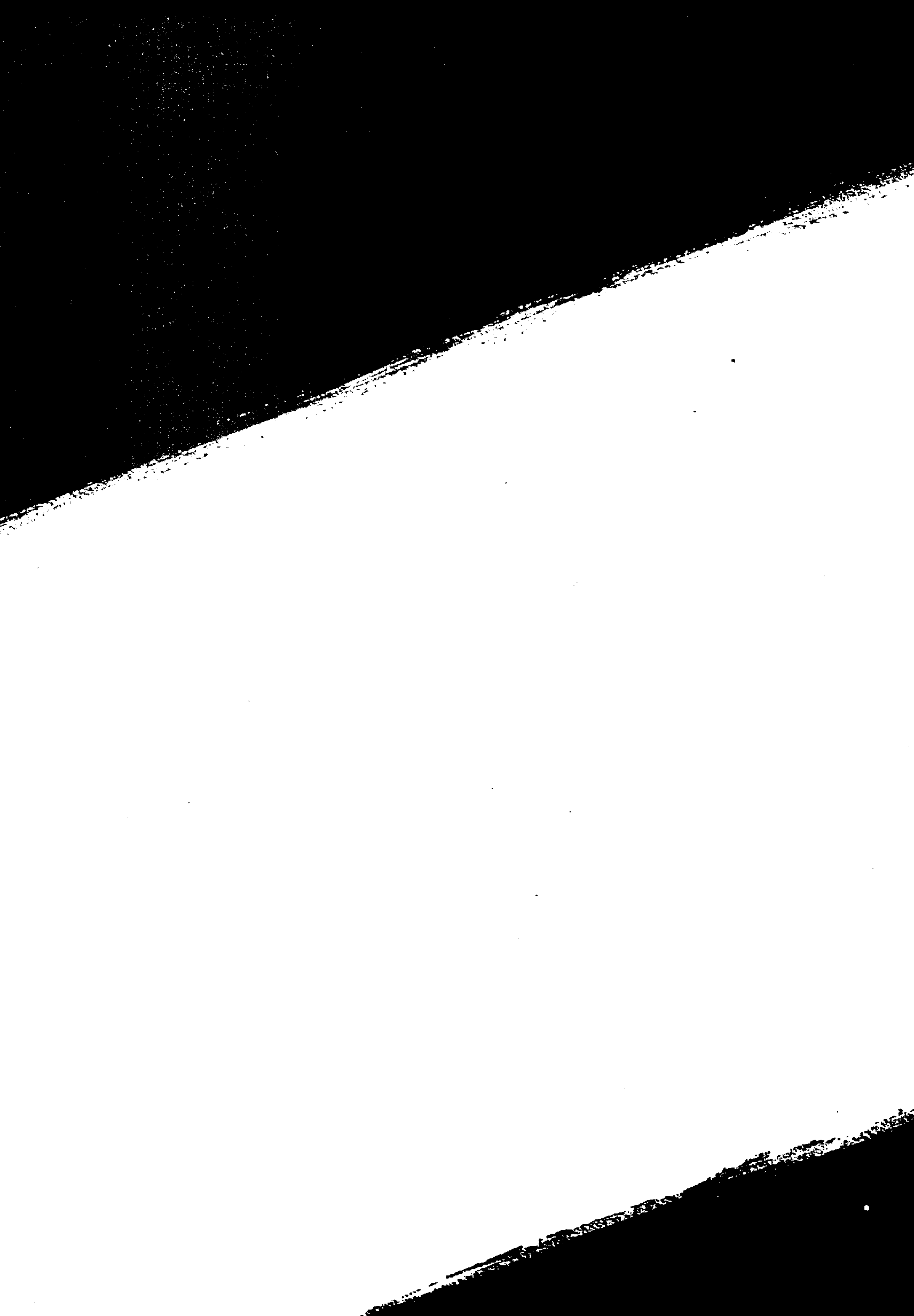 04628.020- pag.41