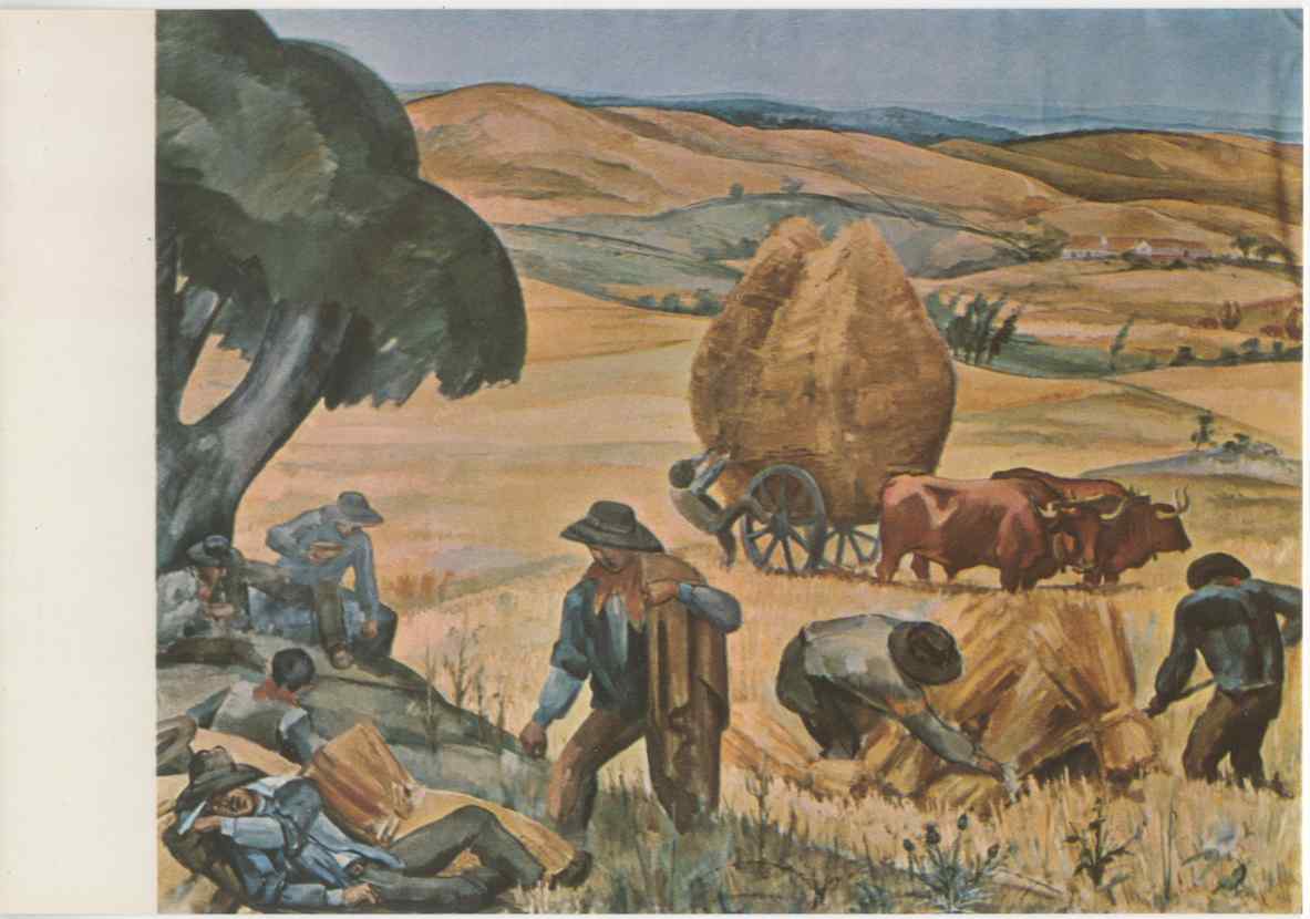04635.009.081- pag.17