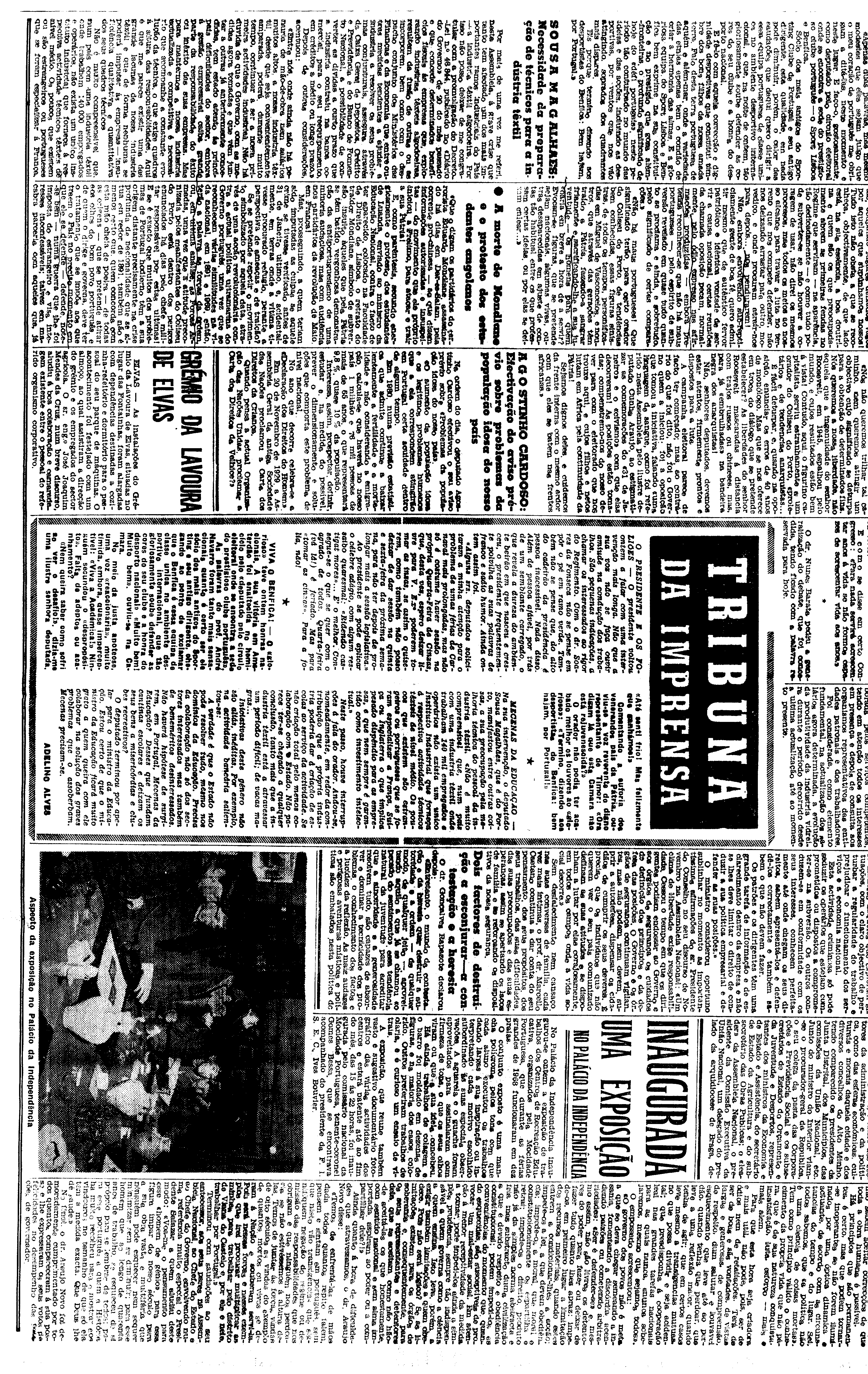 04690.019- pag.31
