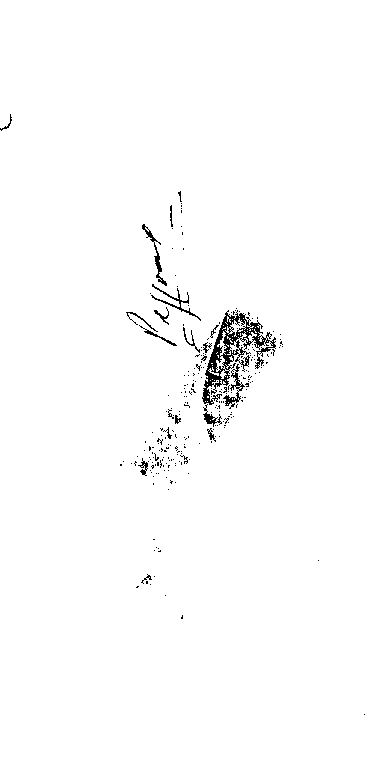 04691.021- pag.9