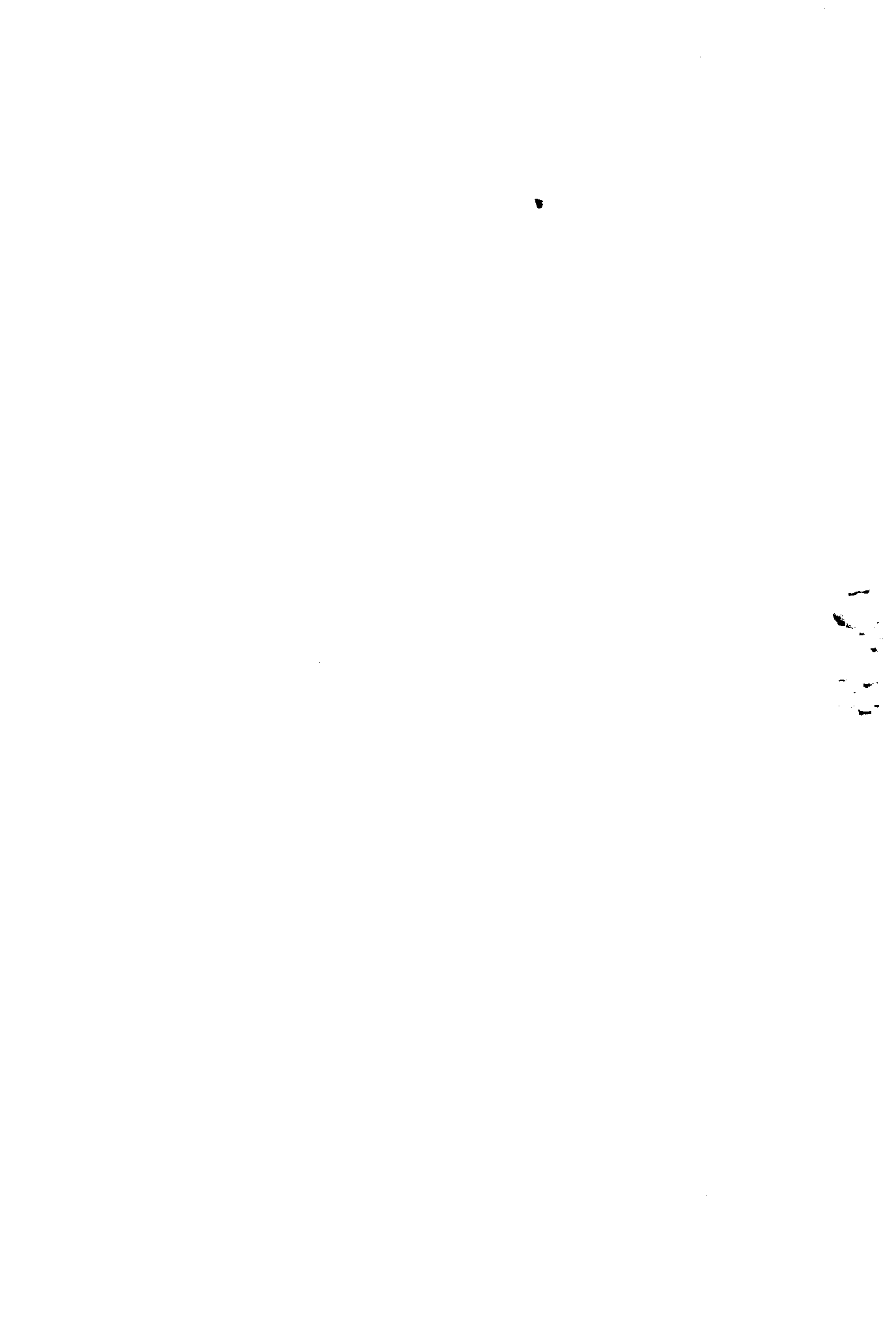 04692.008- pag.3
