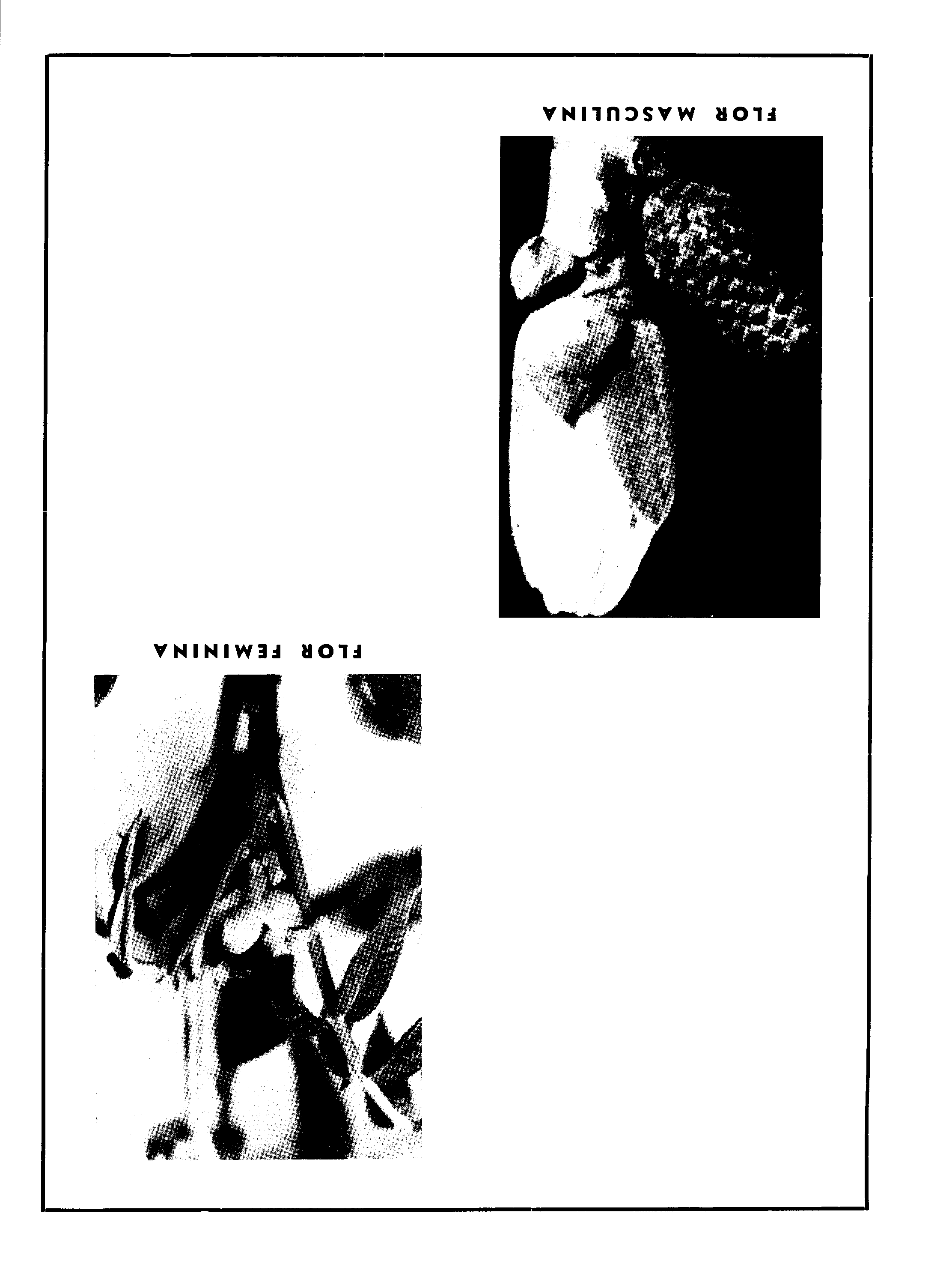 04692.028- pag.12