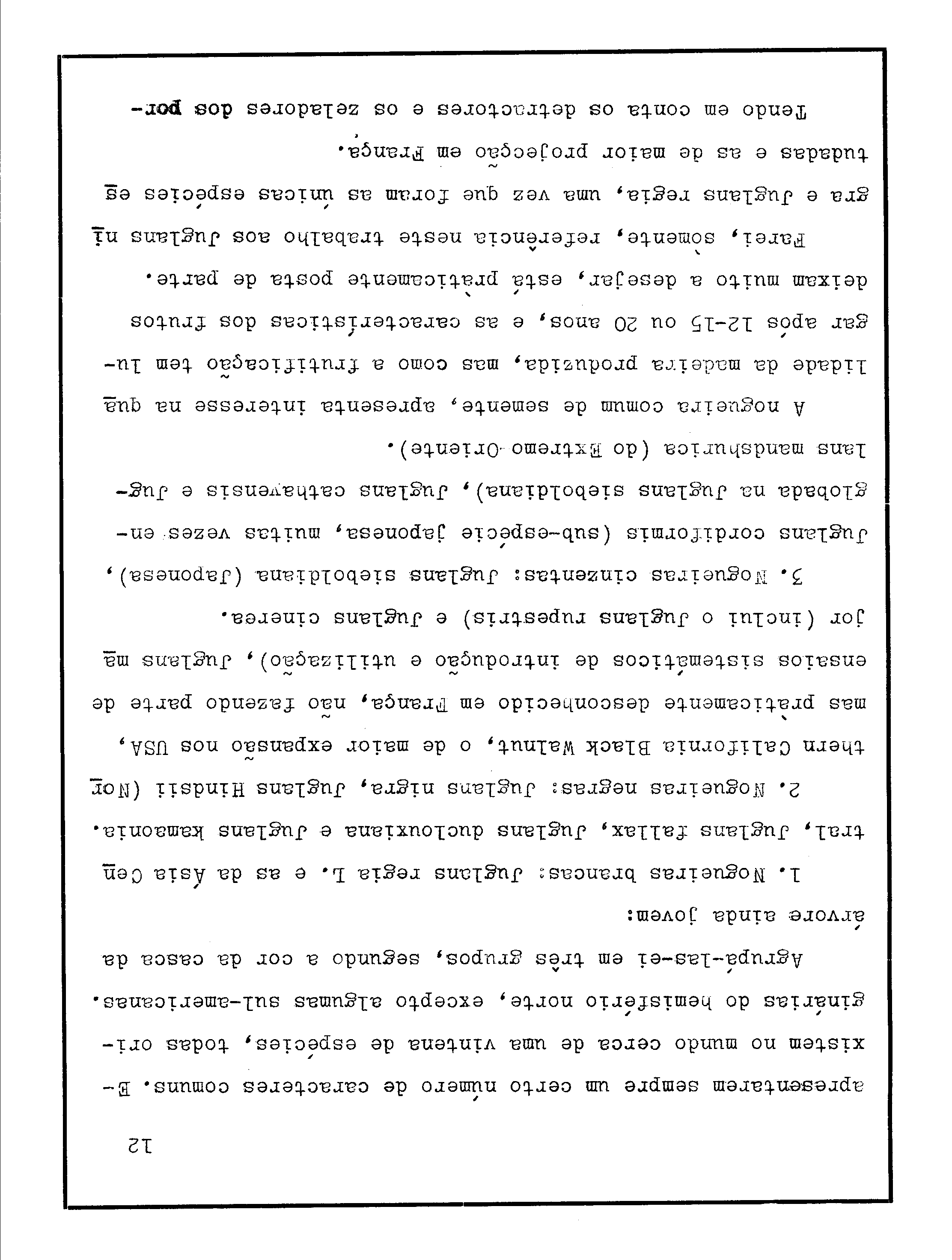 04692.028- pag.13
