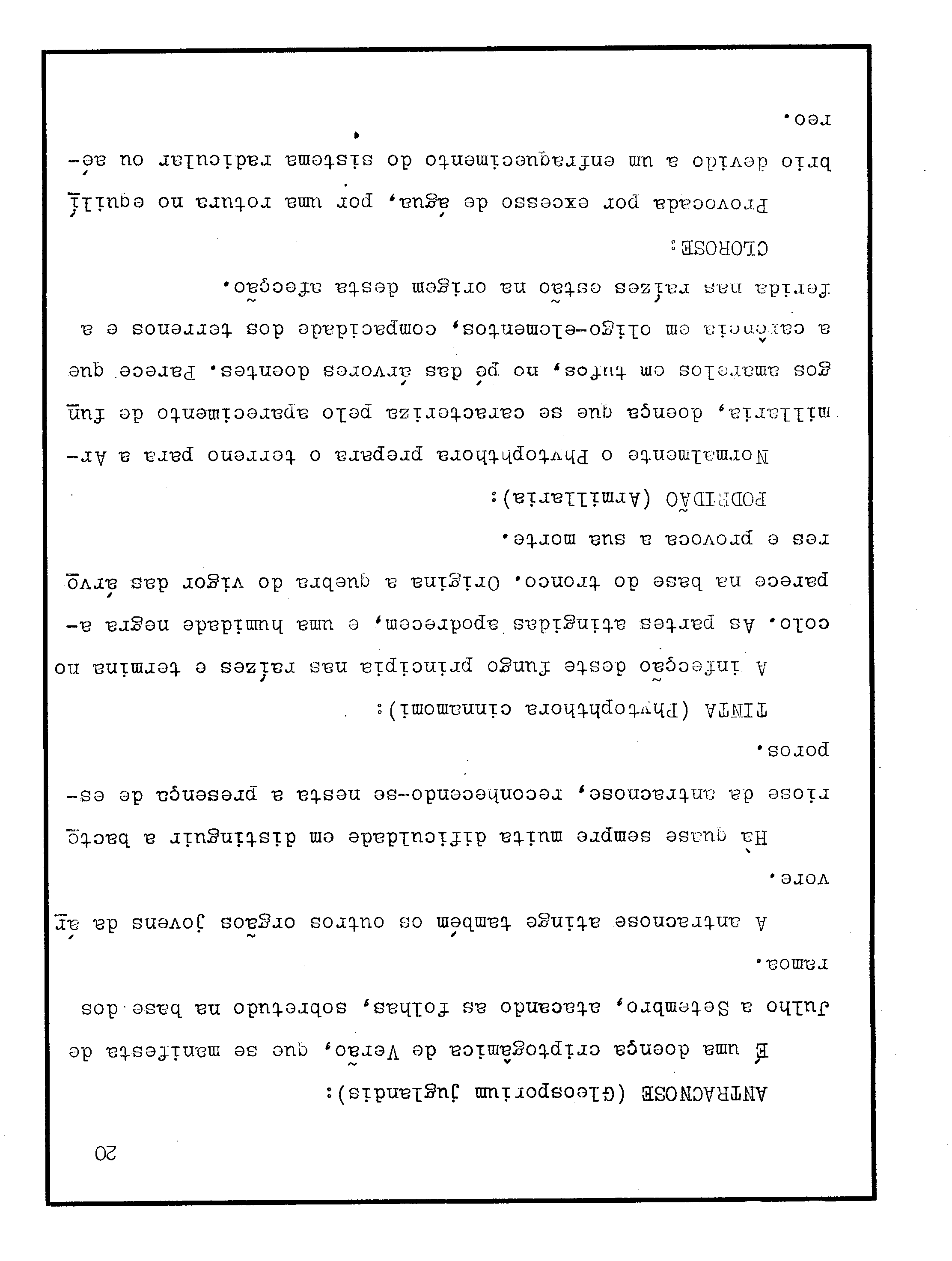 04692.028- pag.21