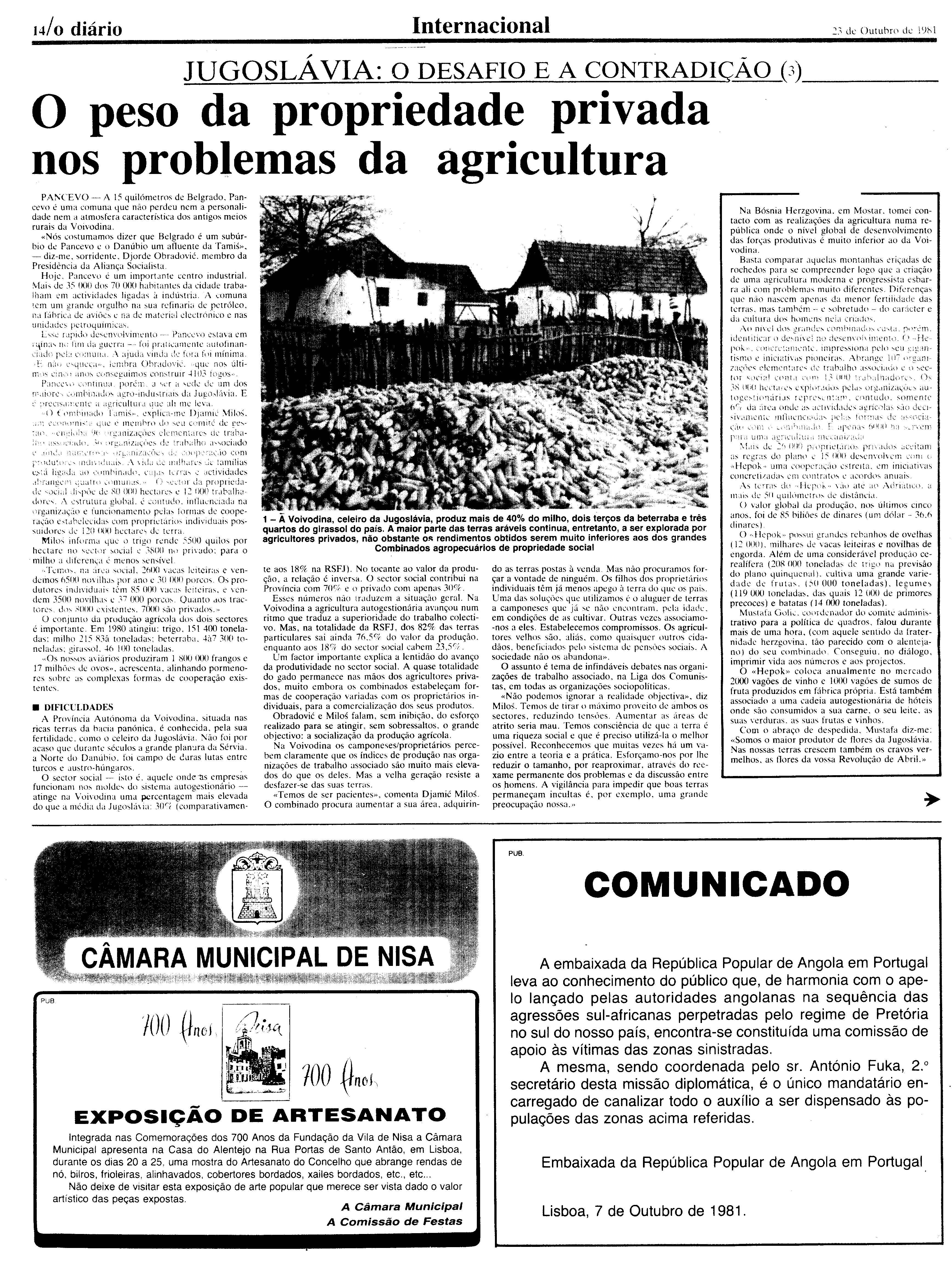 04795.026- pag.10