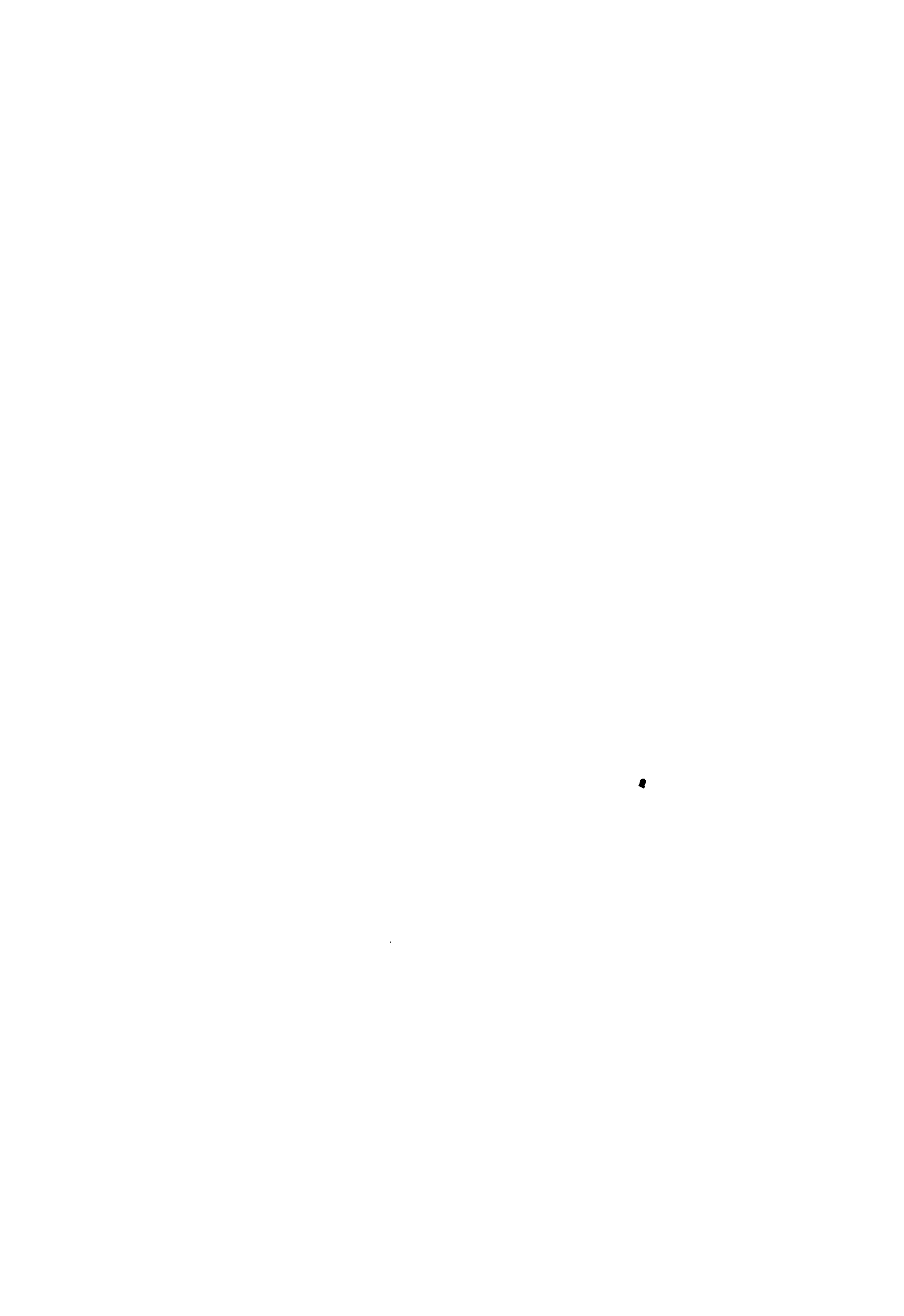 04934.032- pag.15