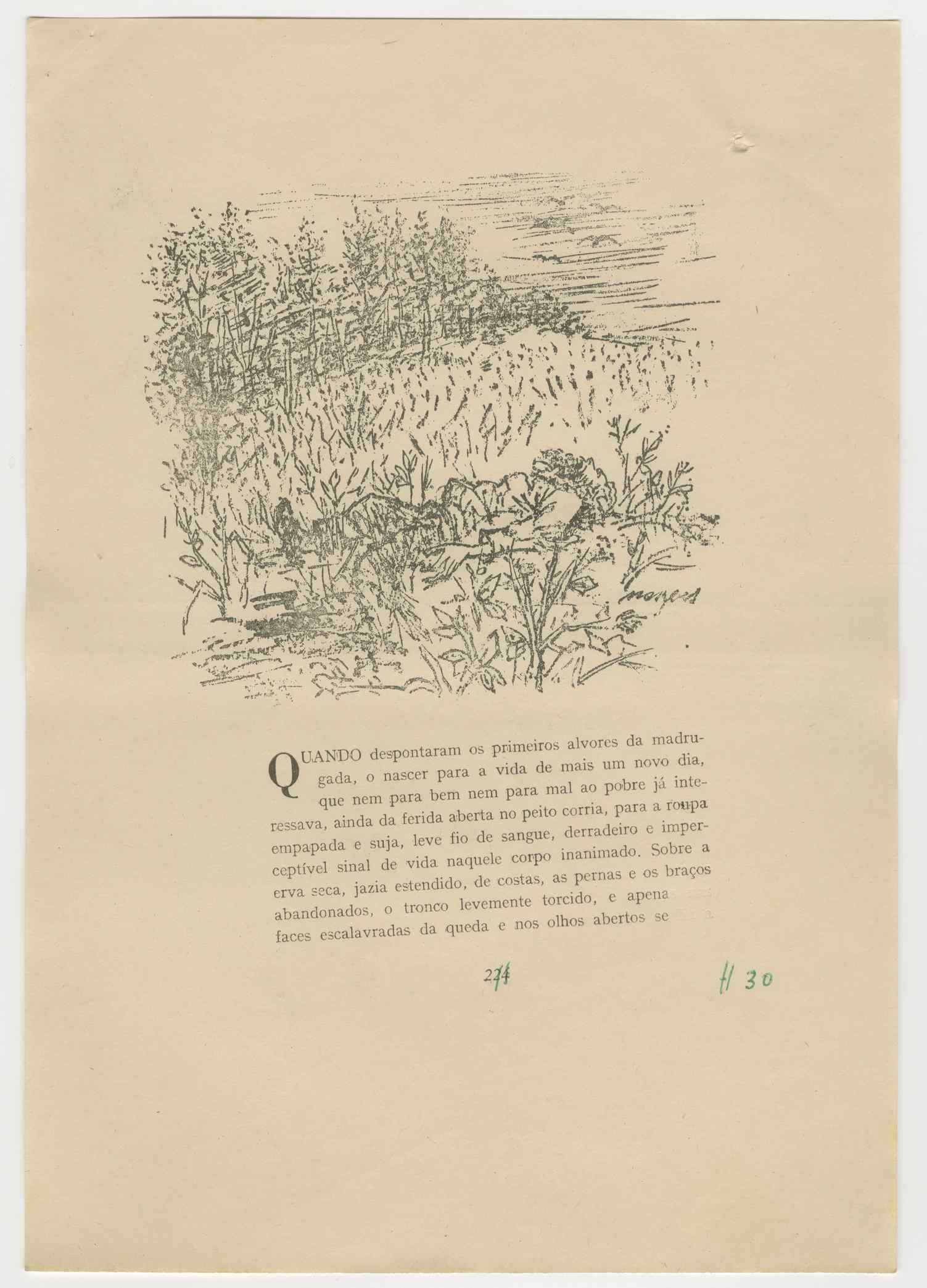 04959.021.001- pag.243