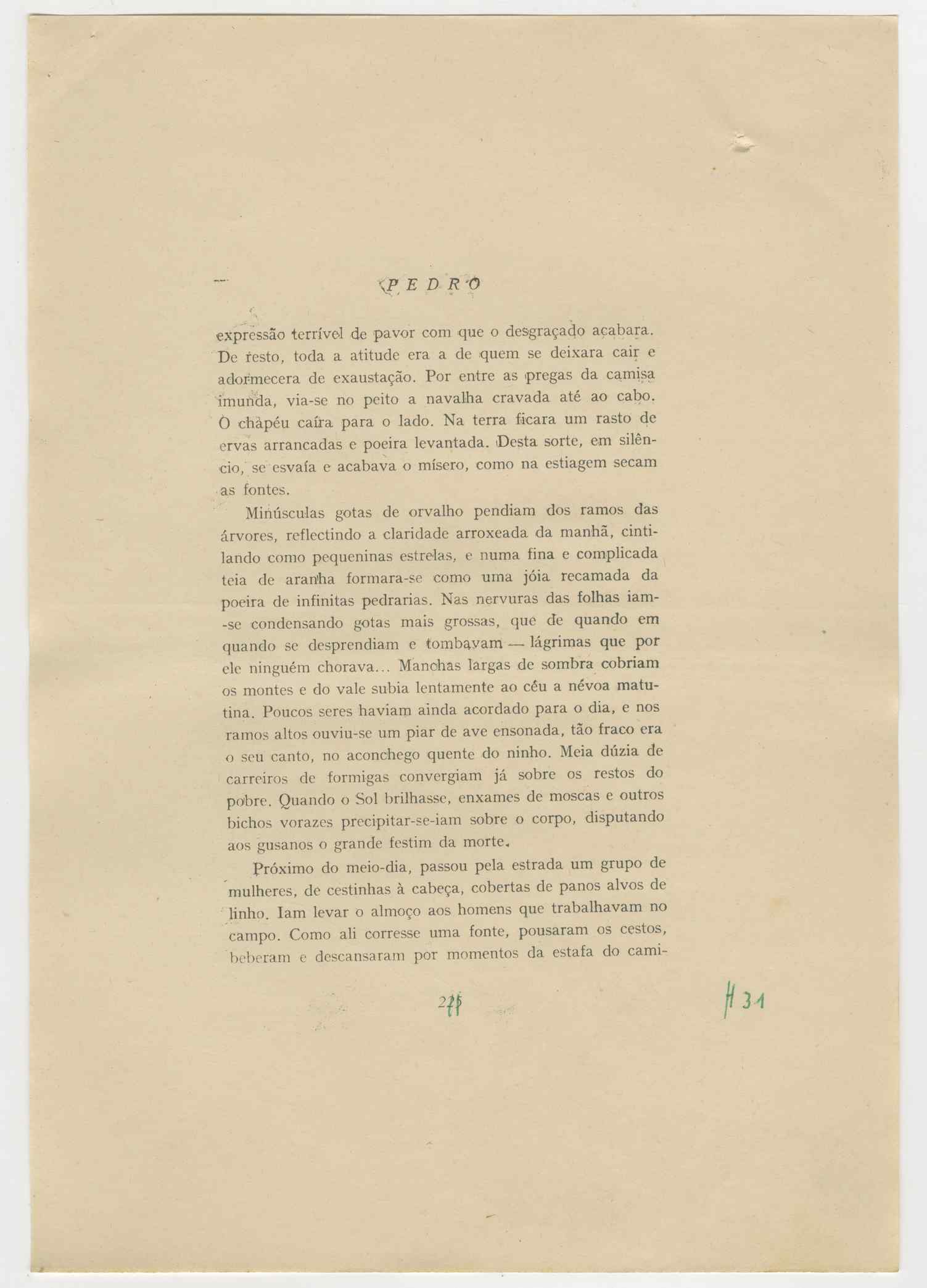 04959.021.001- pag.244