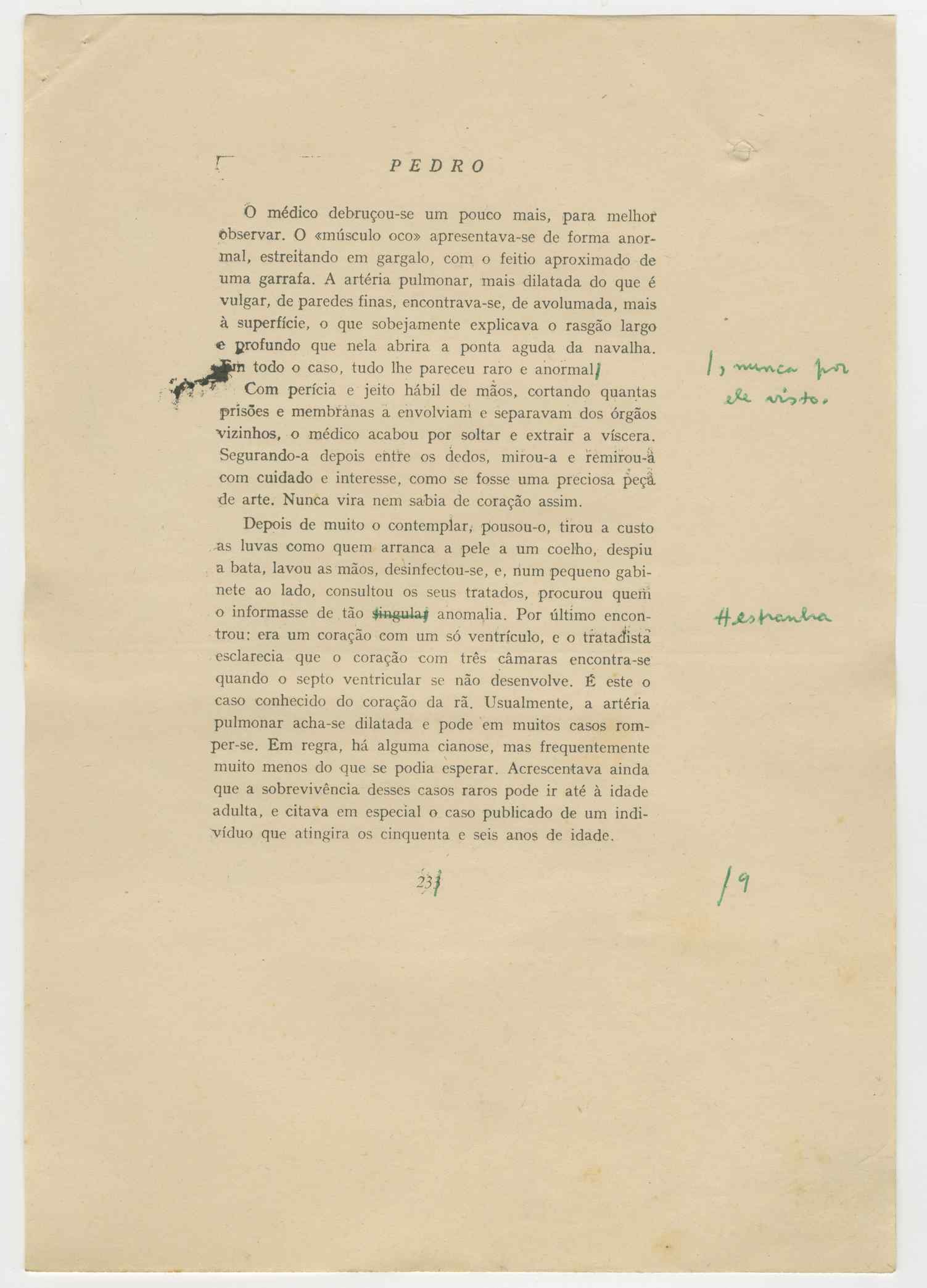 04959.021.001- pag.252