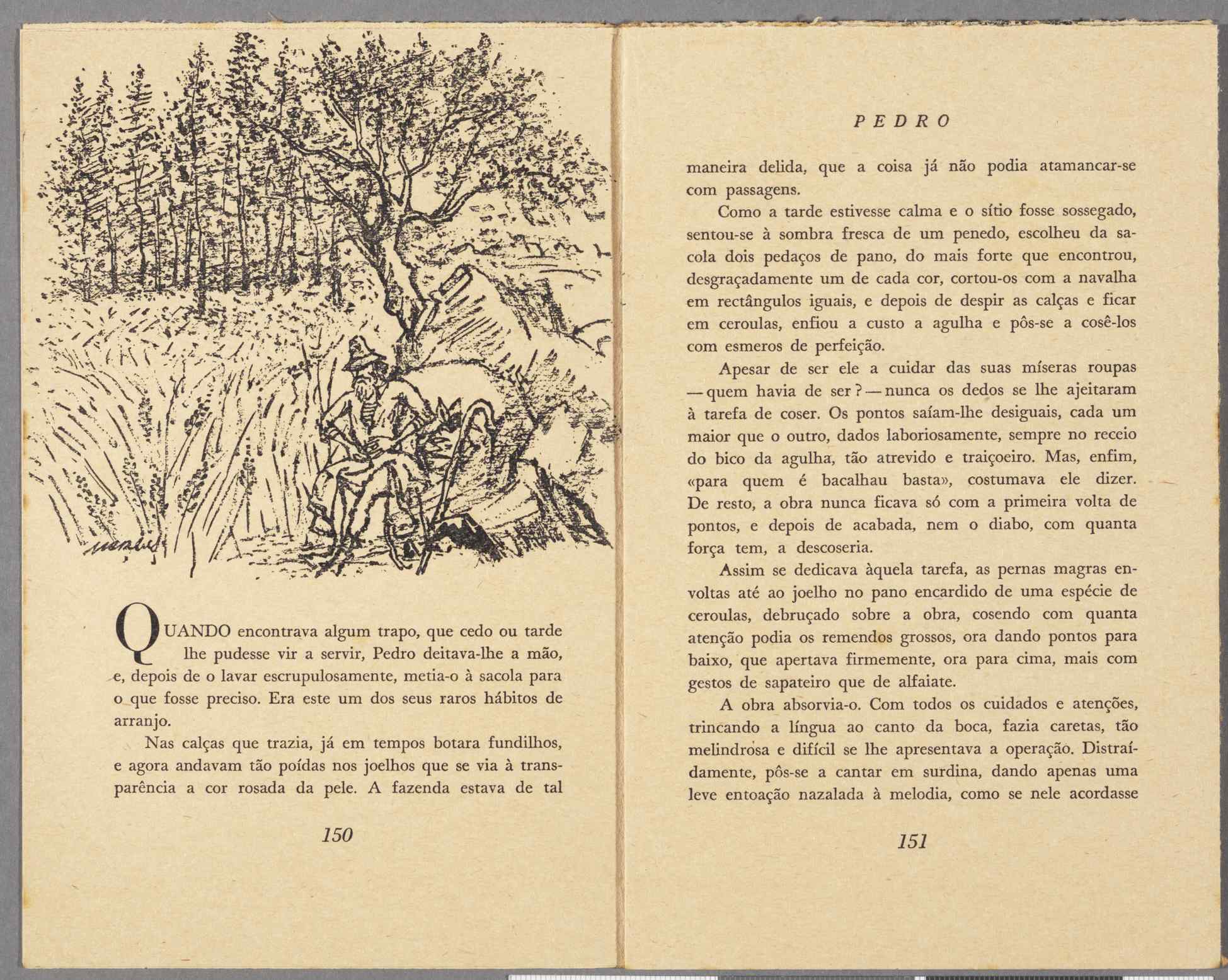04959.022.001- pag.86