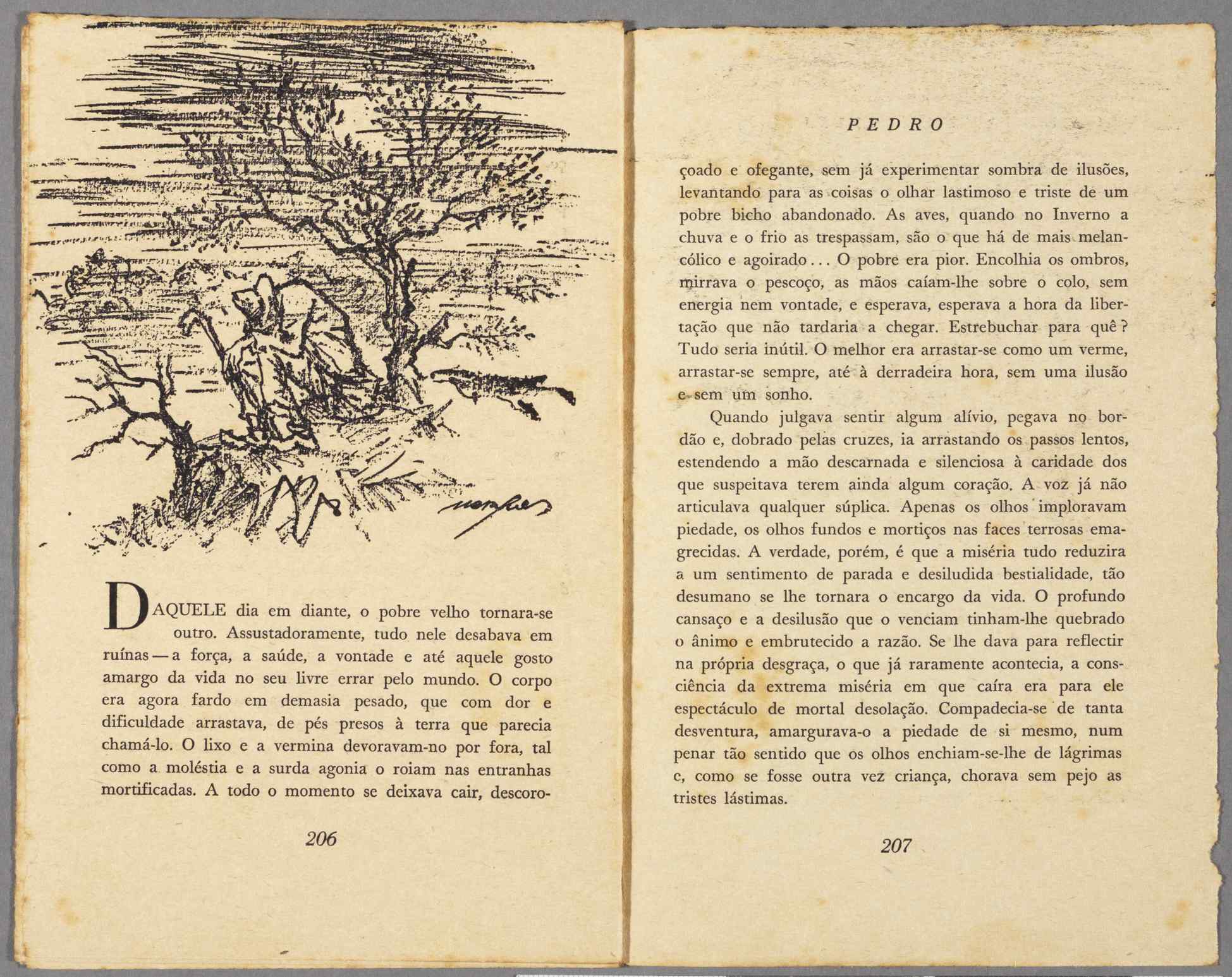 04959.022.001- pag.117