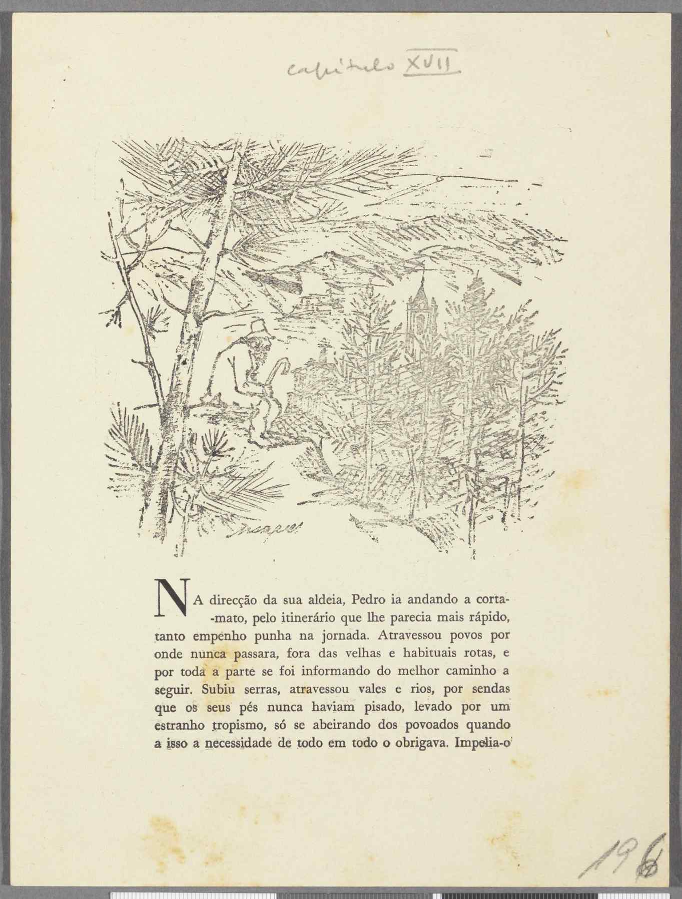 04959.022.001- pag.164