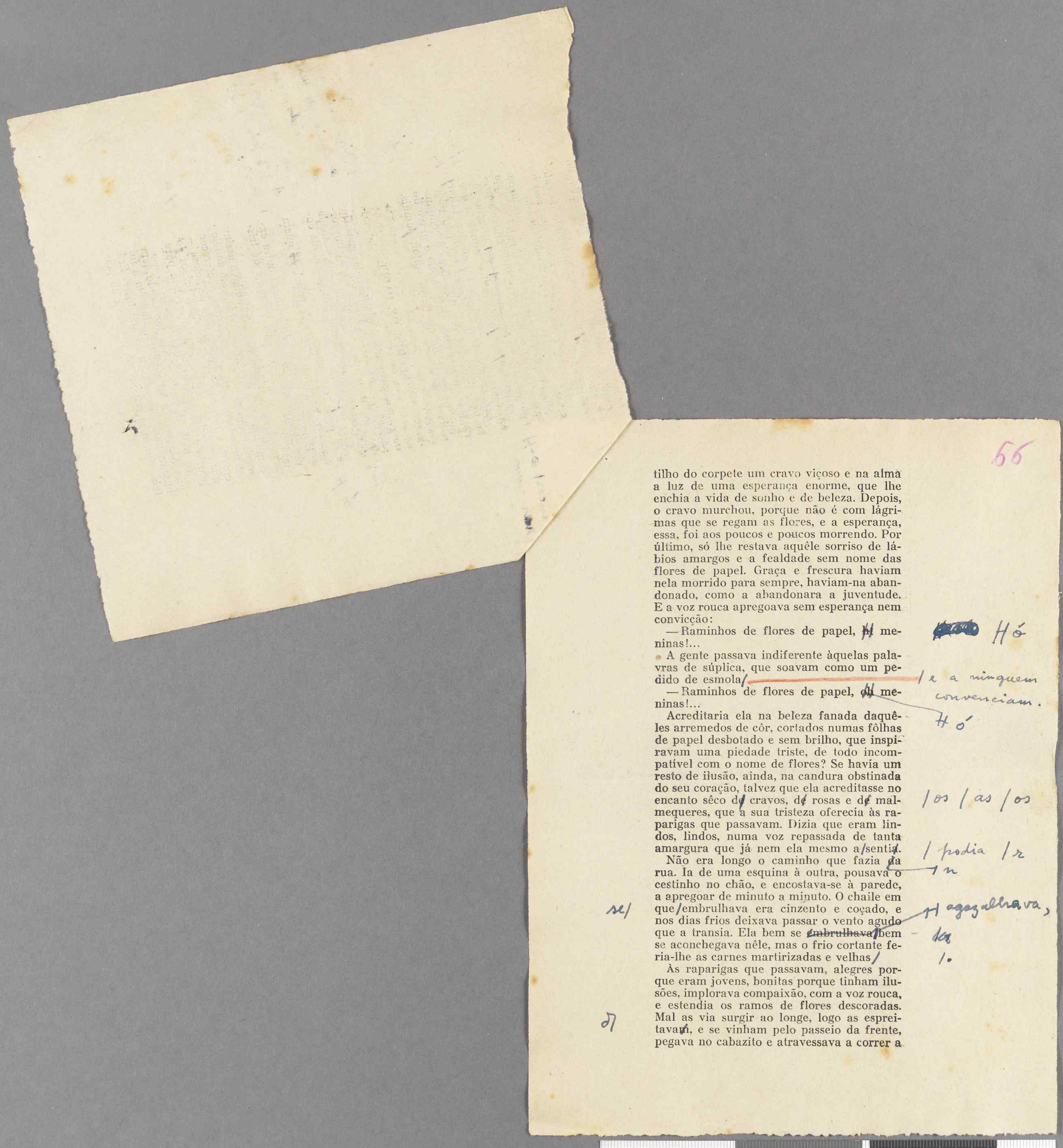 04959.026.001- pag.81