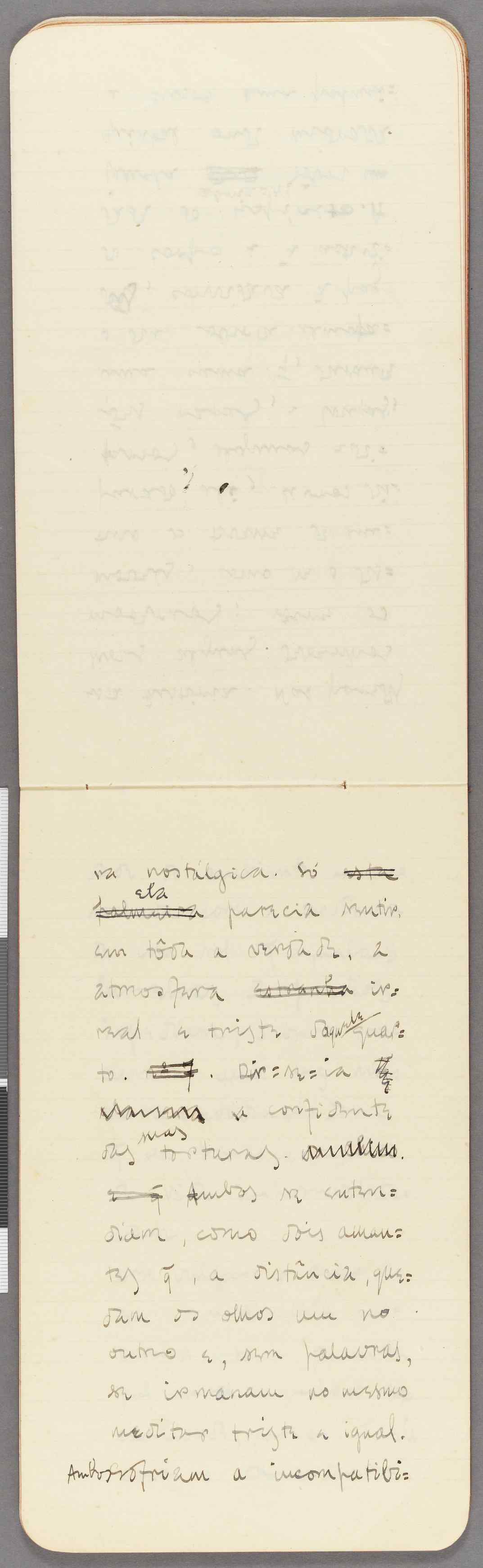 04959.034.001- pag.15