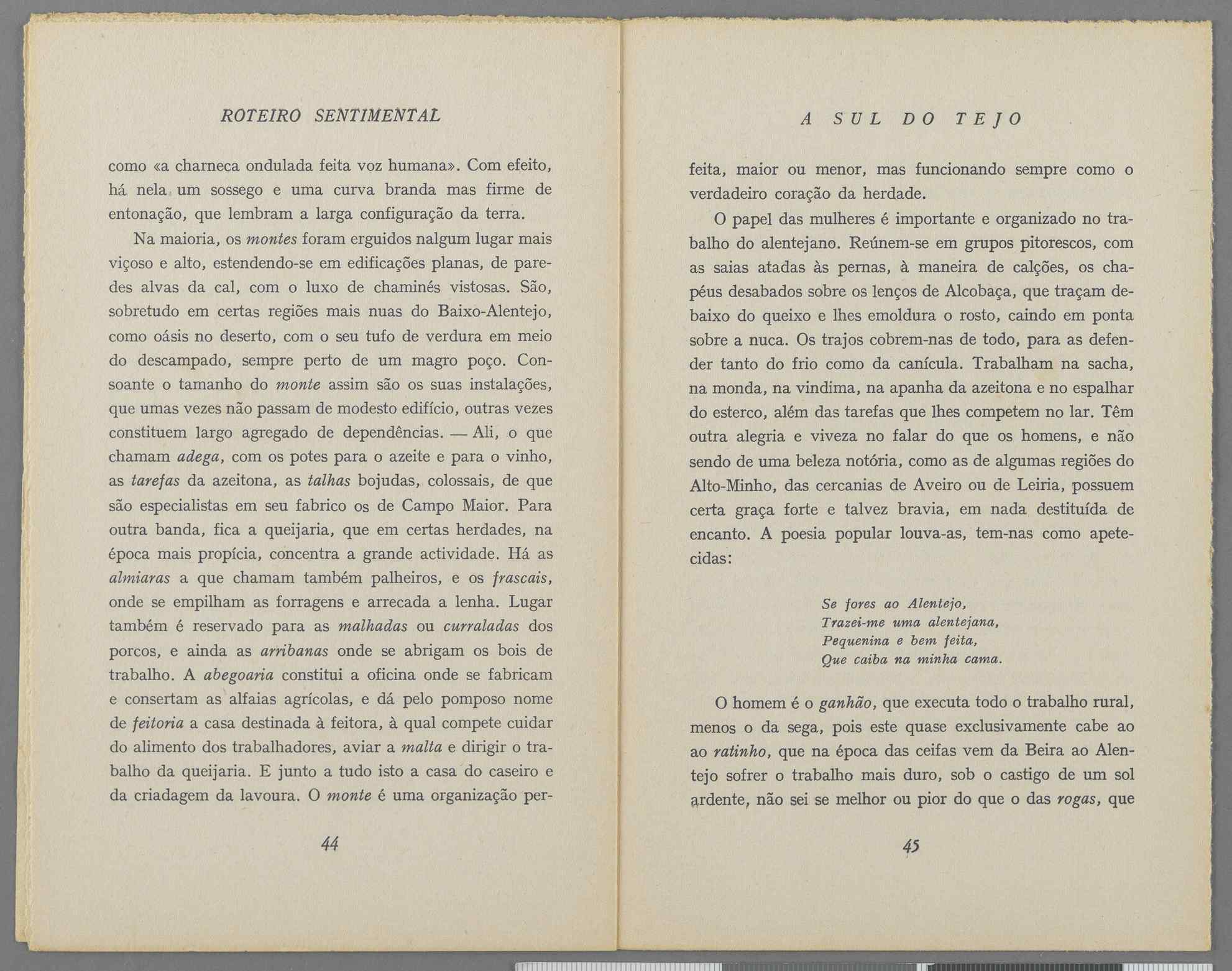 04959.040.001- pag.26