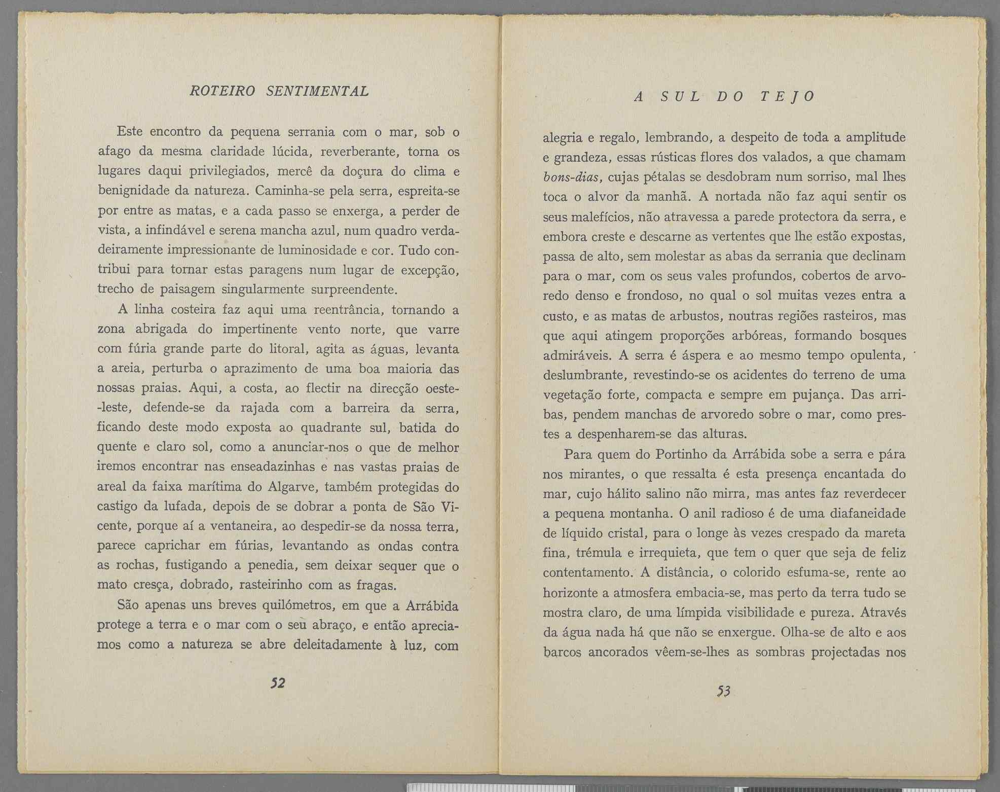 04959.040.001- pag.31