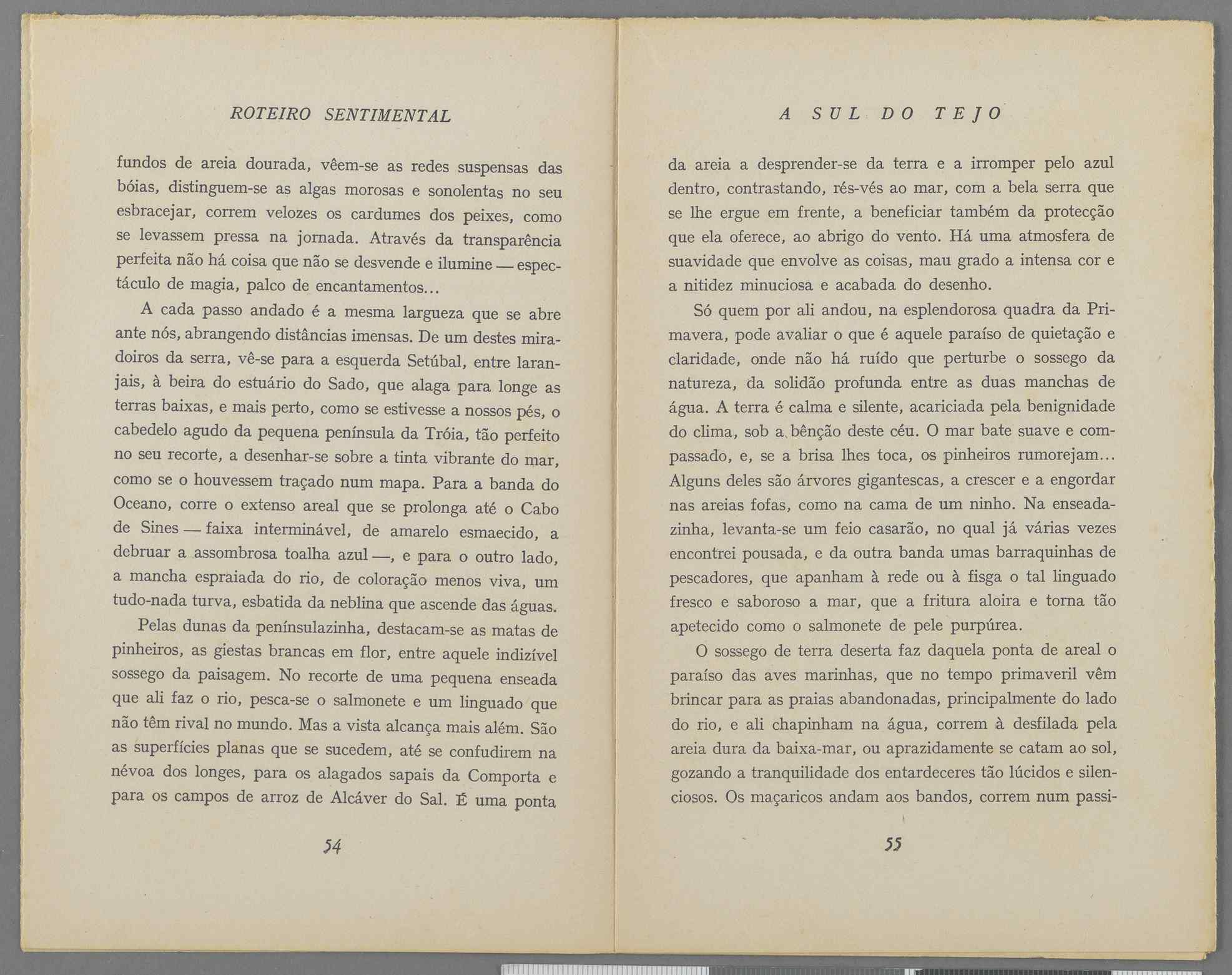 04959.040.001- pag.32