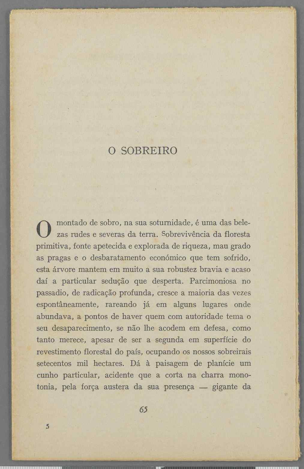 04959.040.001- pag.38
