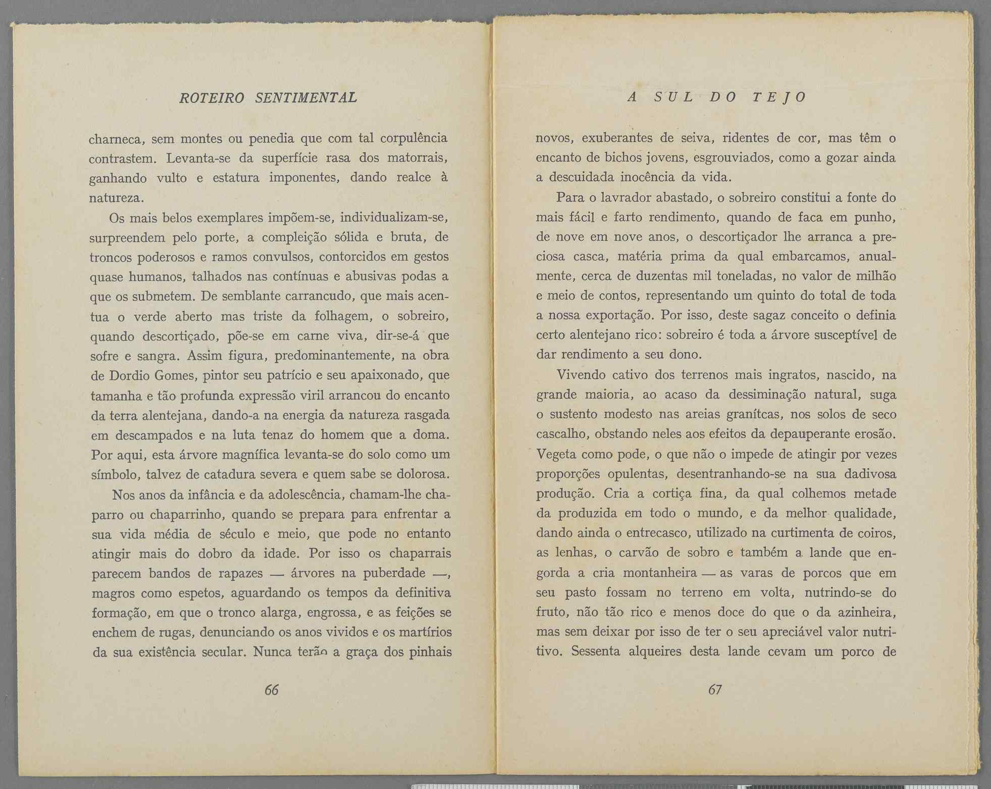 04959.040.001- pag.39