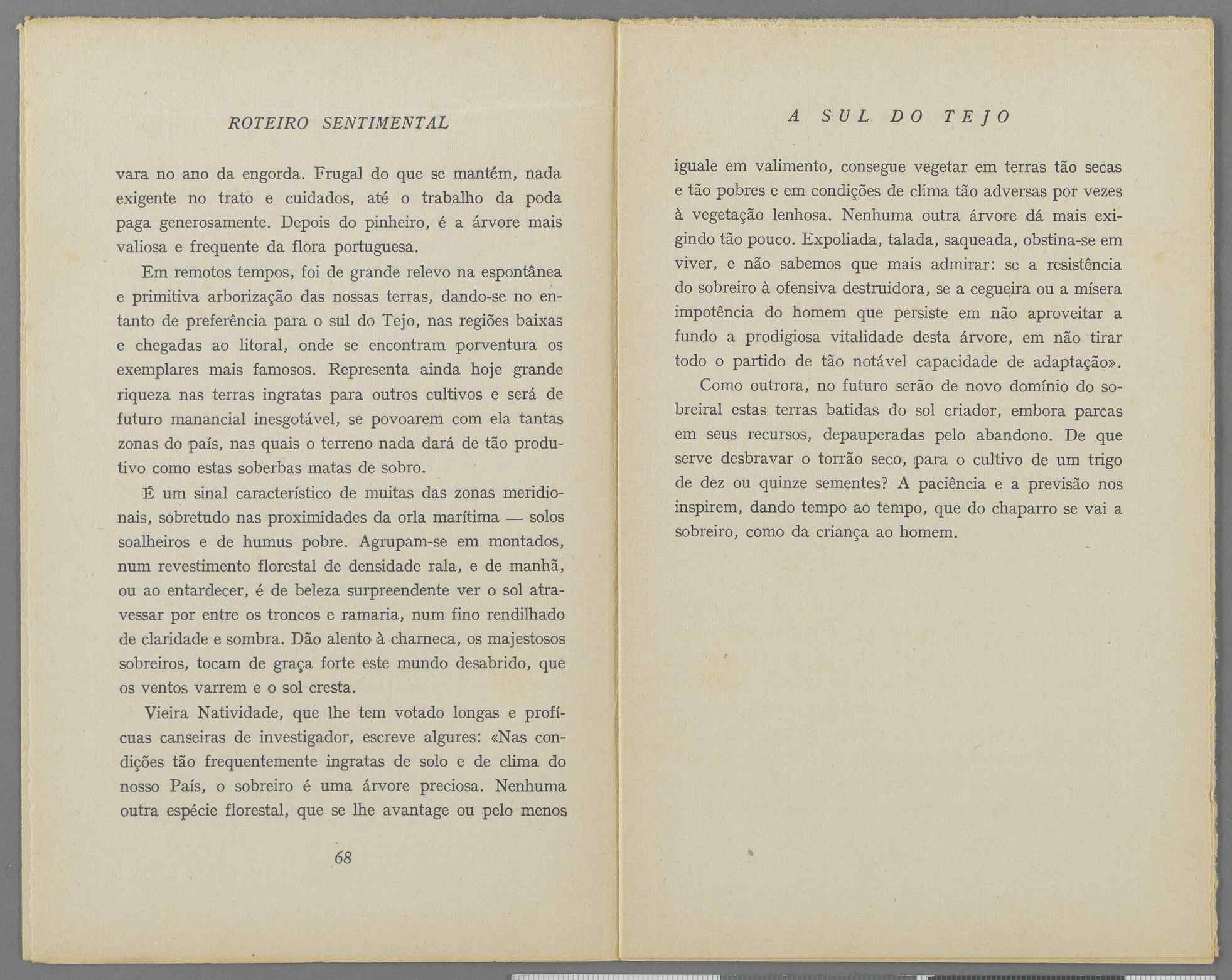 04959.040.001- pag.40