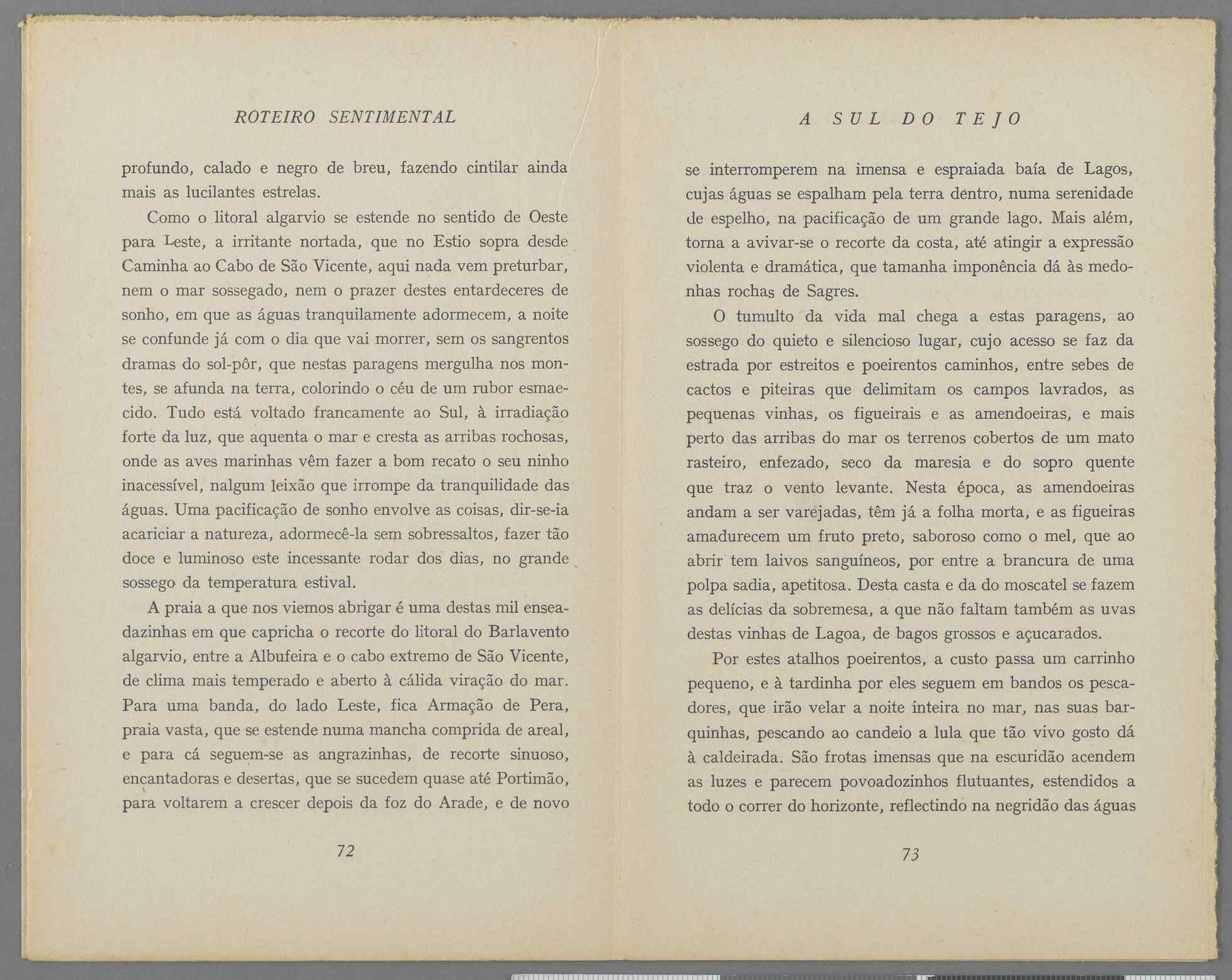 04959.040.001- pag.42