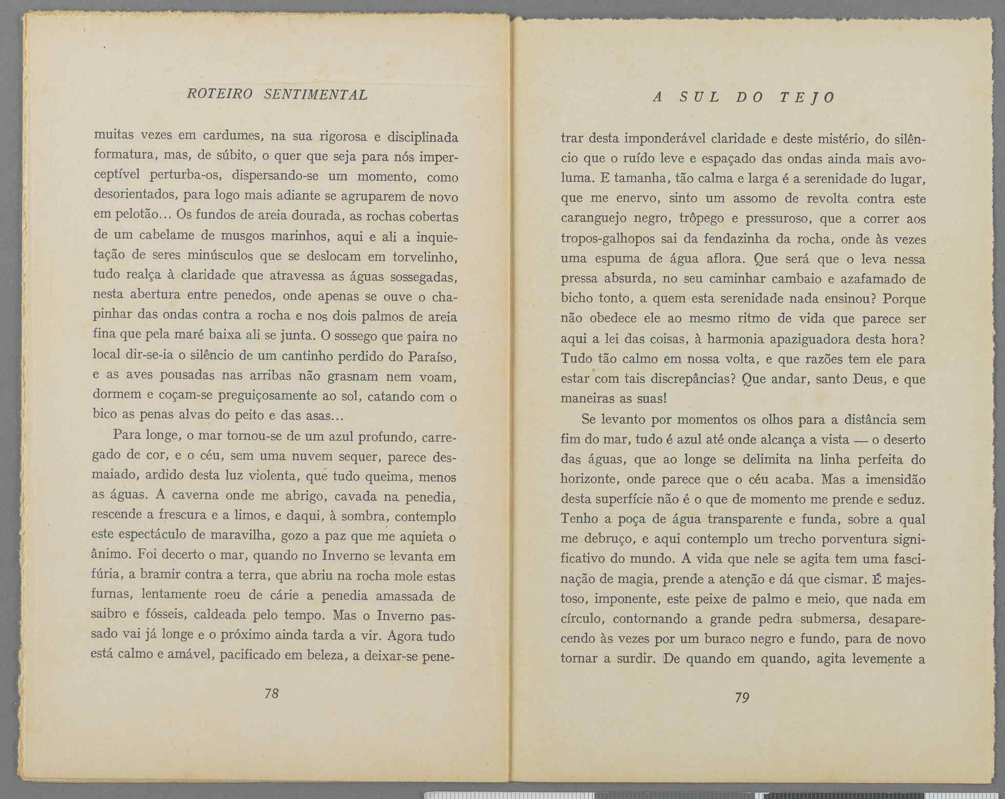 04959.040.001- pag.45