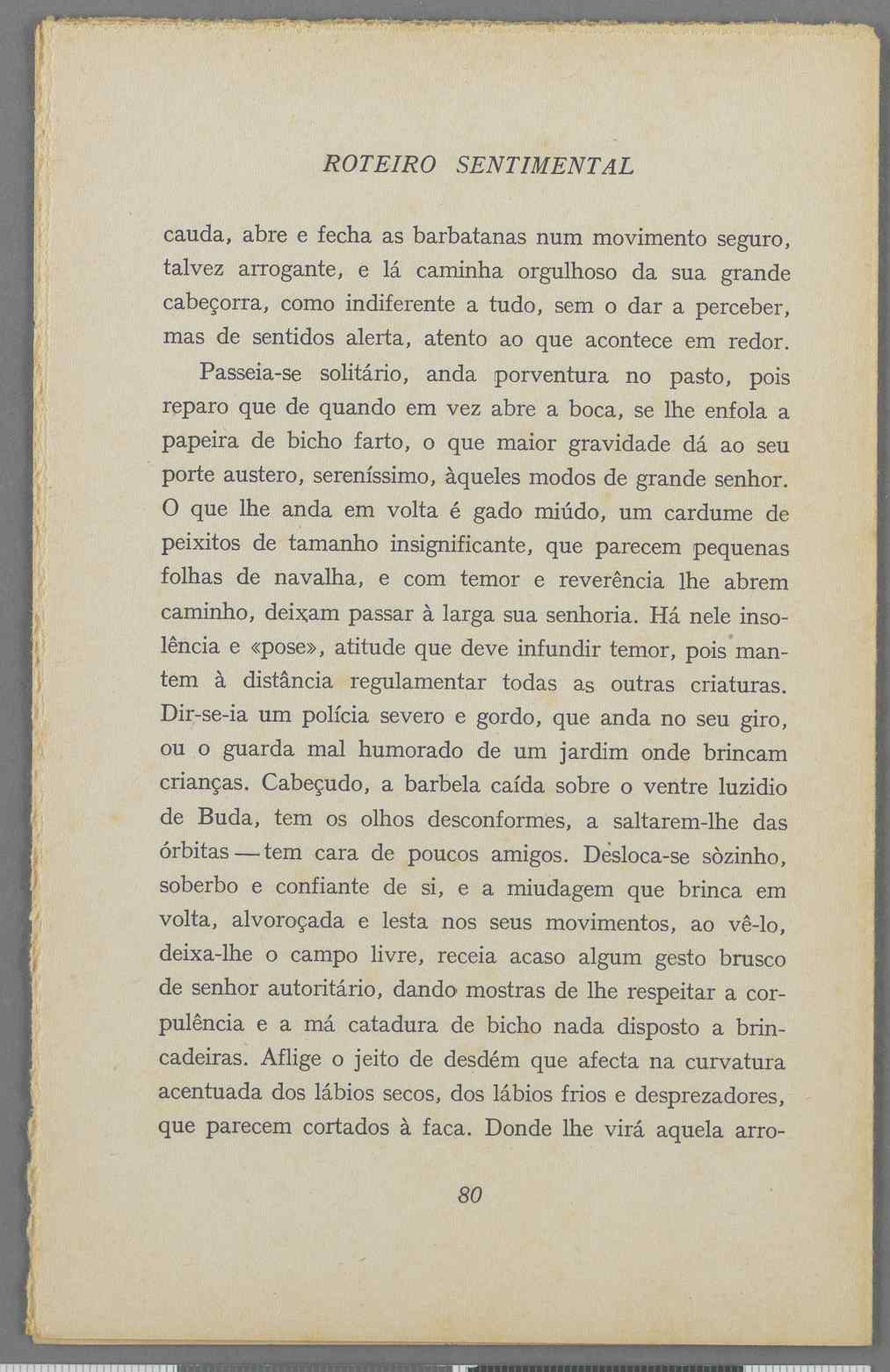 04959.040.001- pag.46