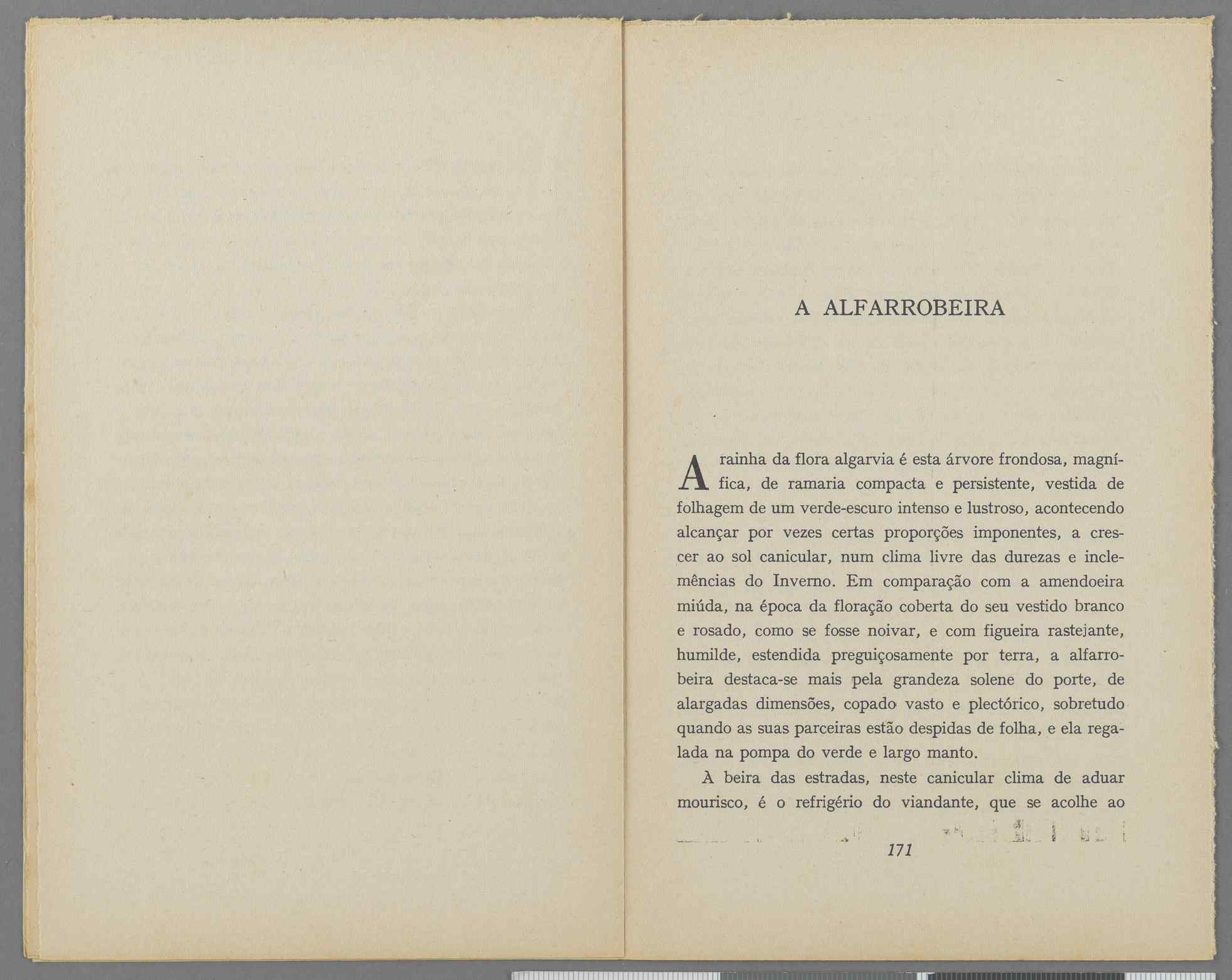 04959.040.001- pag.97