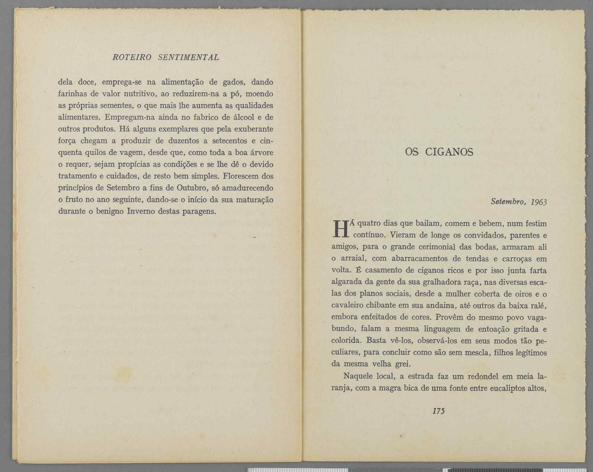 04959.040.001- pag.99